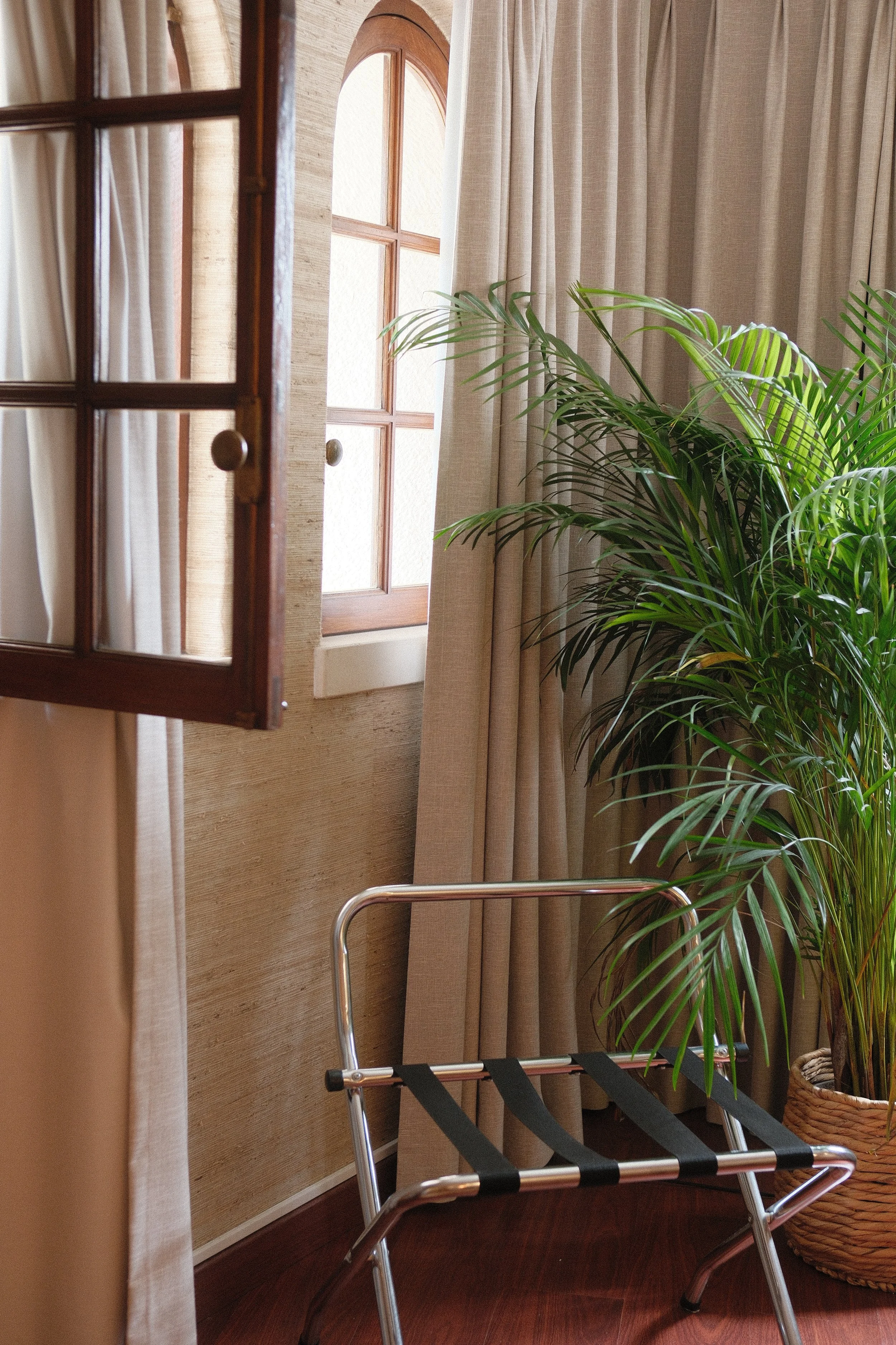 DSCF3284 - cópia.JPG