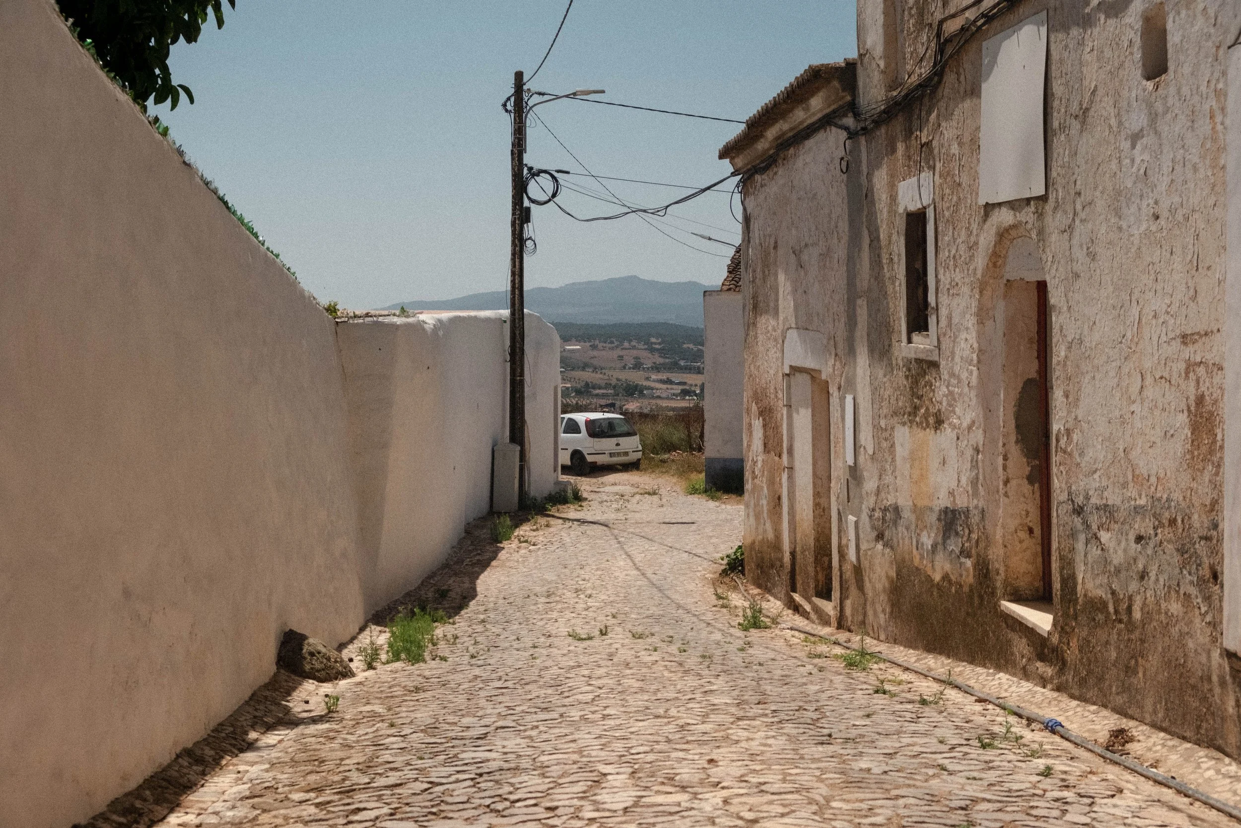 DSCF4541.jpg