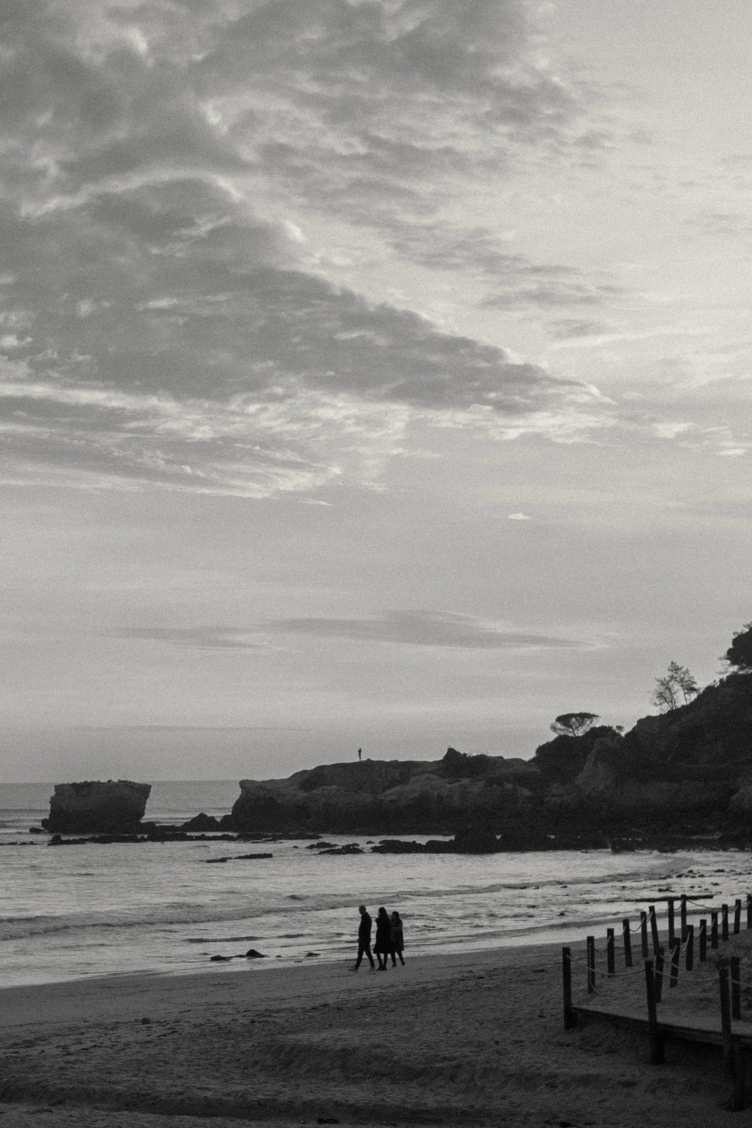 DSCF2487-3.jpg