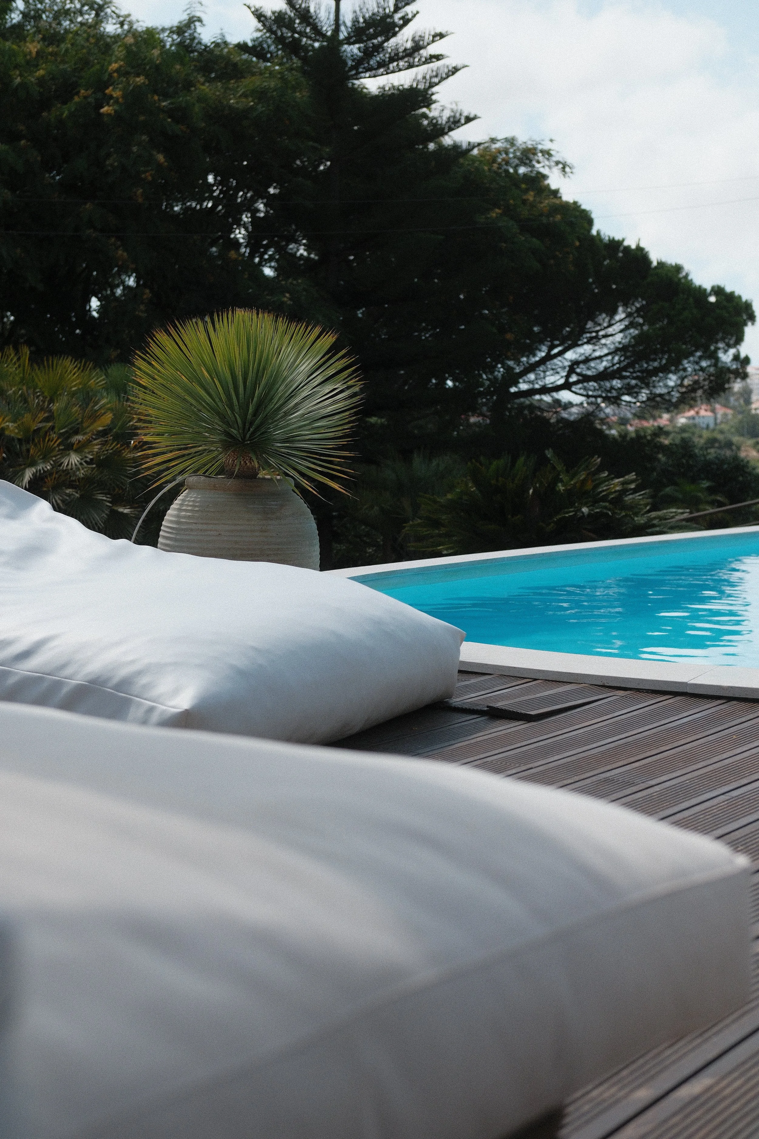 DSCF3323 - cópia.JPG