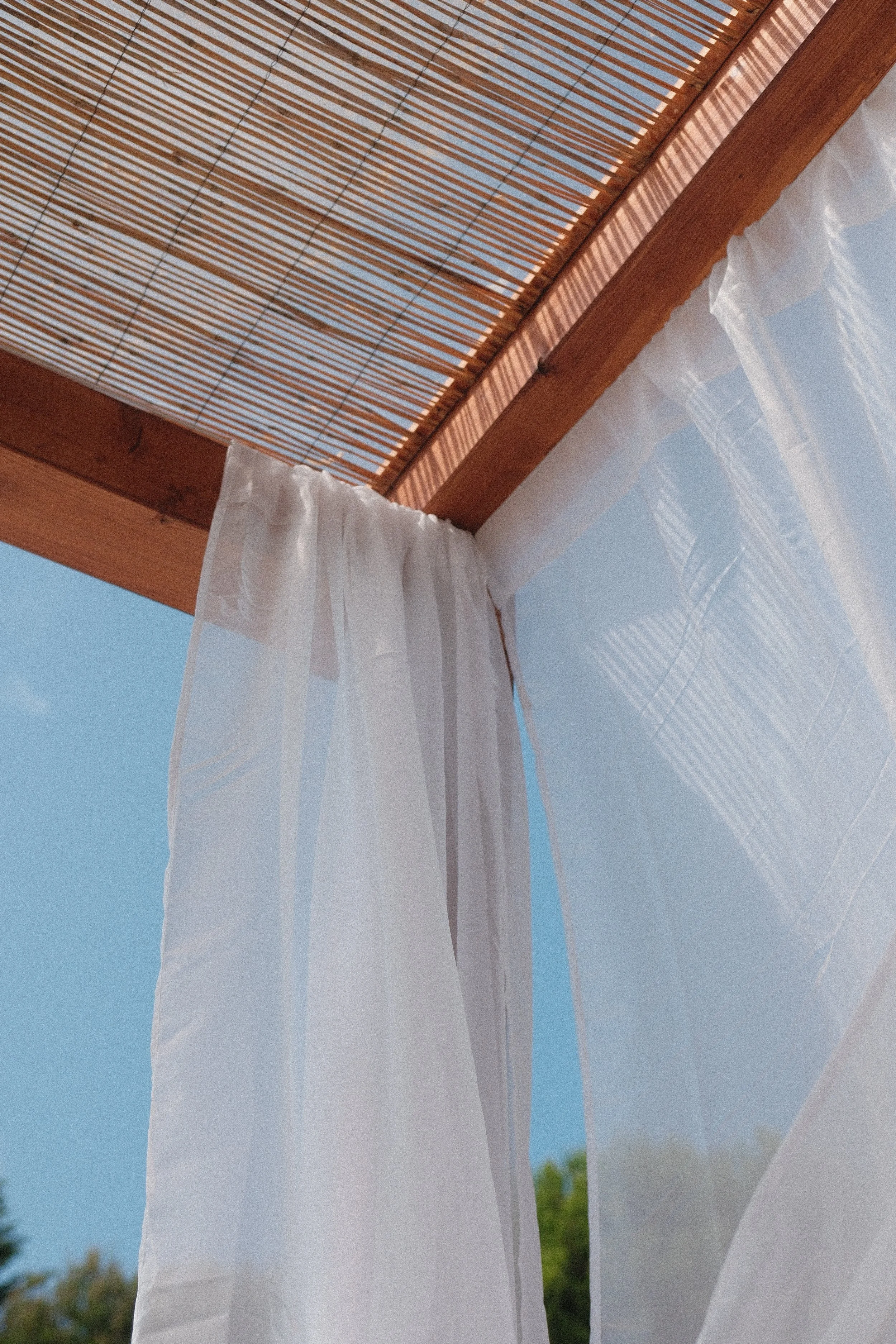 DSCF3307 - cópia.JPG