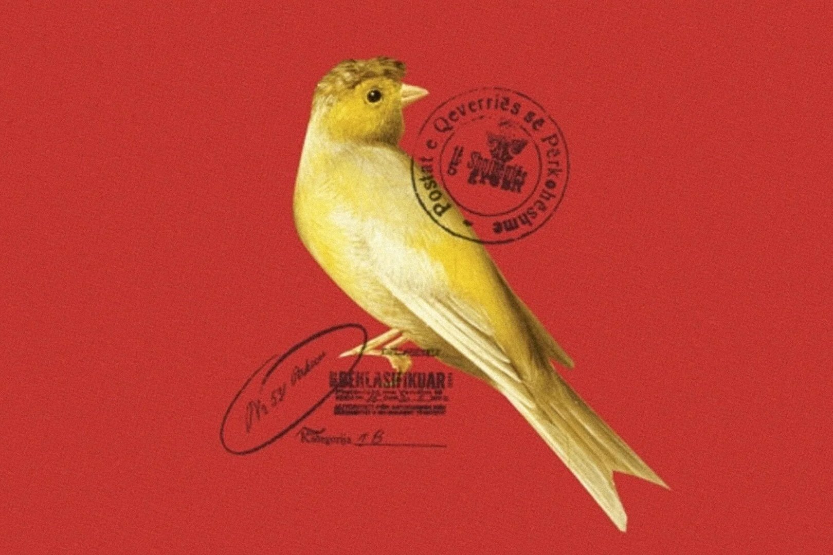 Dignity, Freedom and Memory with Lea Ypi