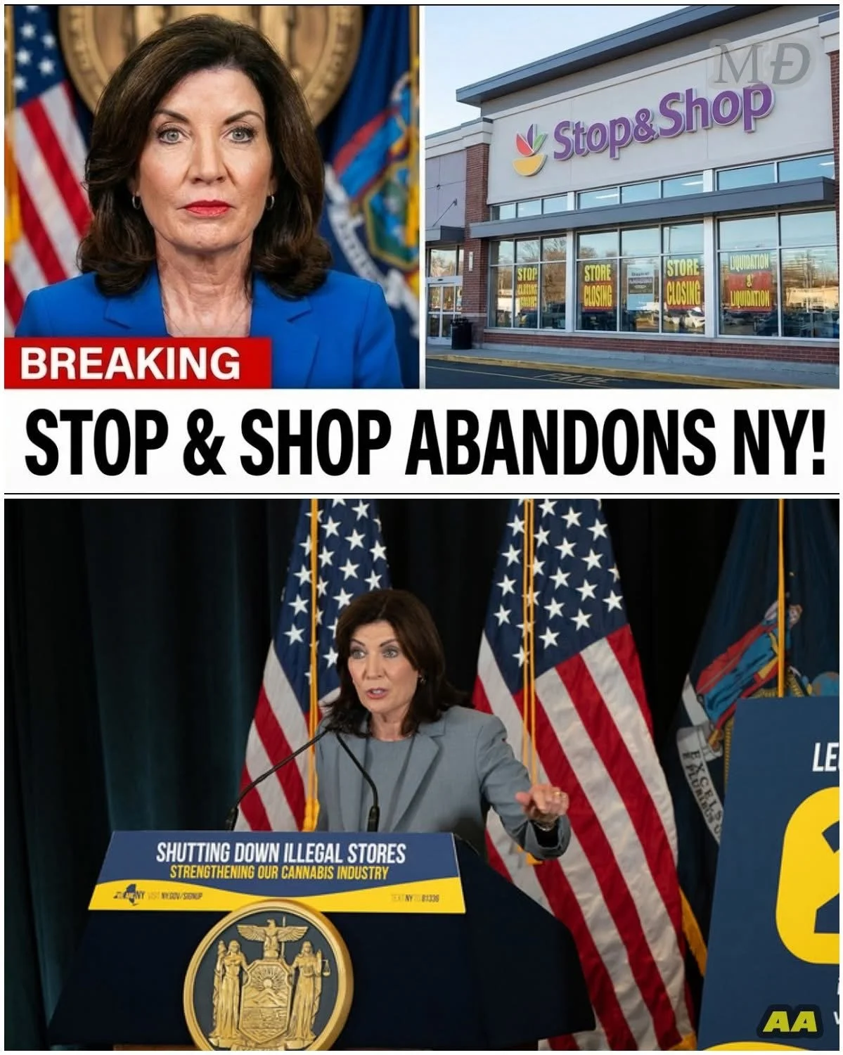 Blog #254 DELIBERATE DESTRUCTION OF NY’s CULTURE, BUSINESS, LIFE