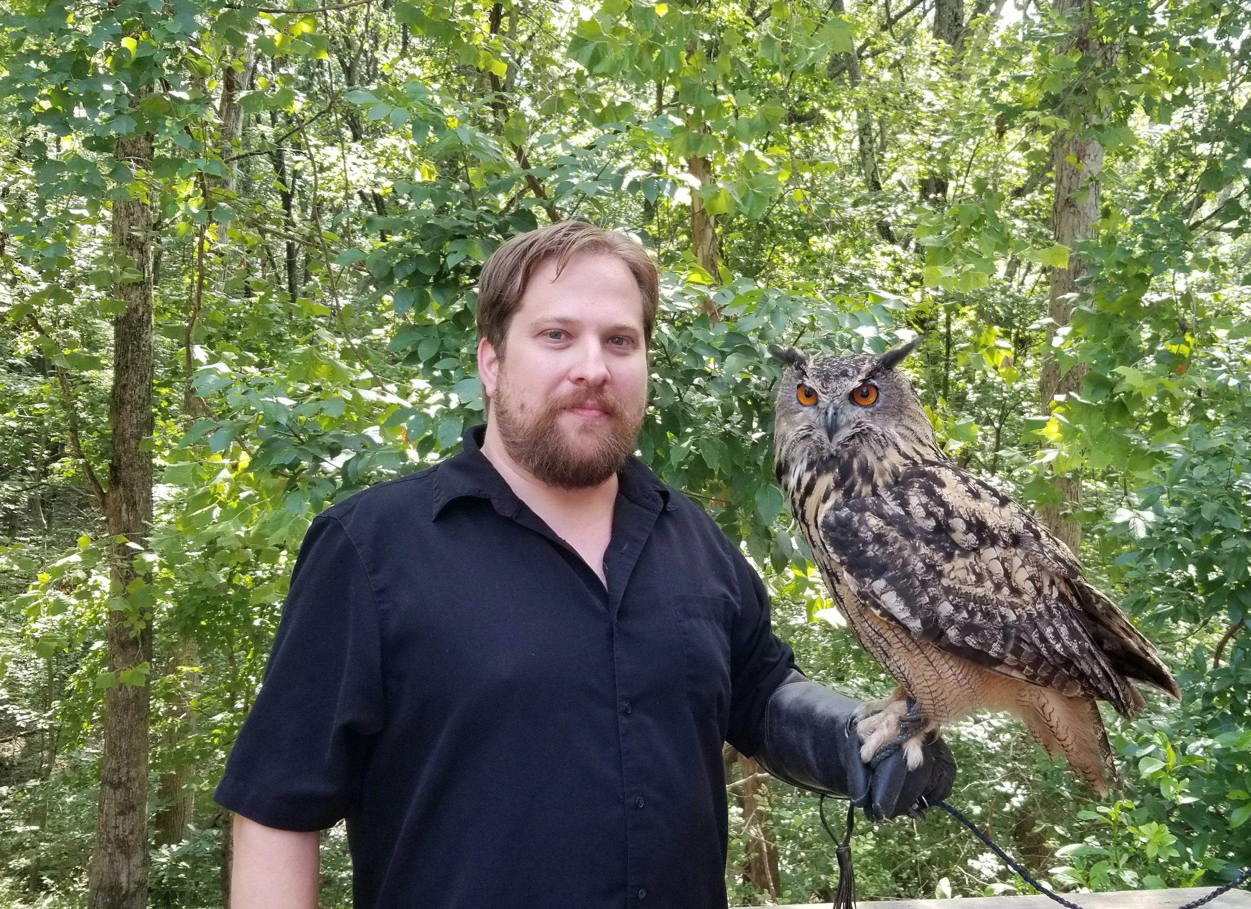 A man wearing a black shirt and glove holding a large owl with orange eyes in a green forest.