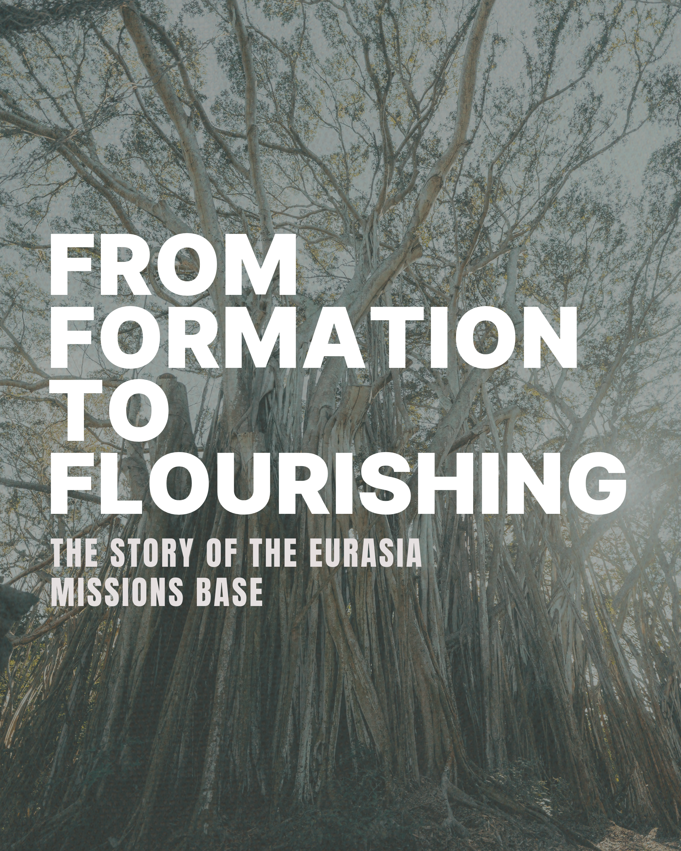 From Formation to Flourishing