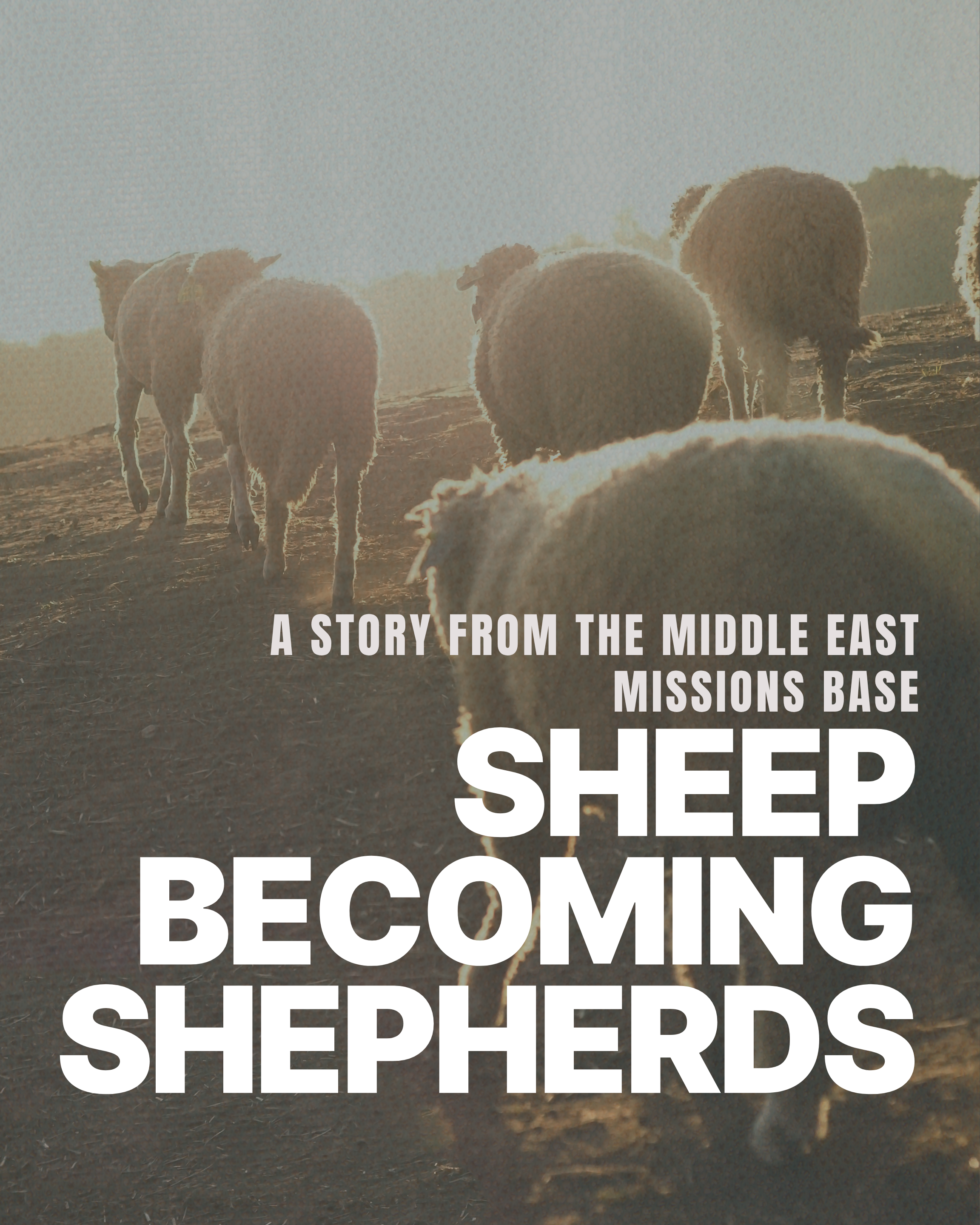 Sheep Becoming Shepherds