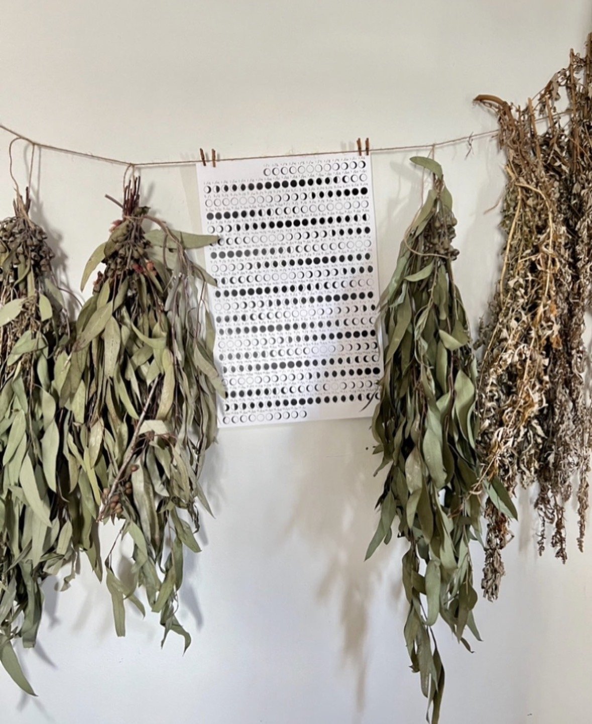 lunar calender 1.jpg