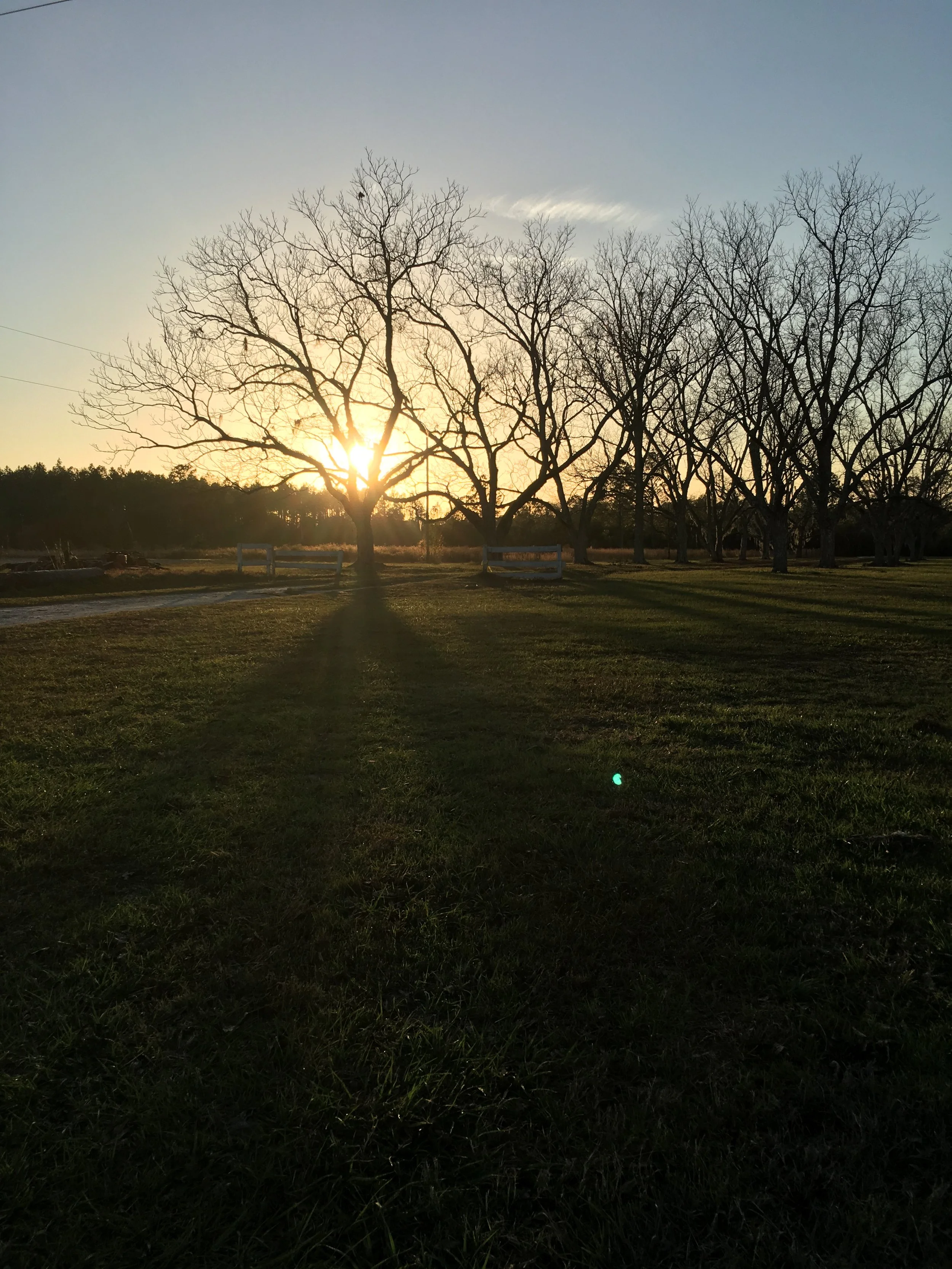 Fayetteville Farm Garden A Beginners Guide To Abundant Harvests - tshvszj