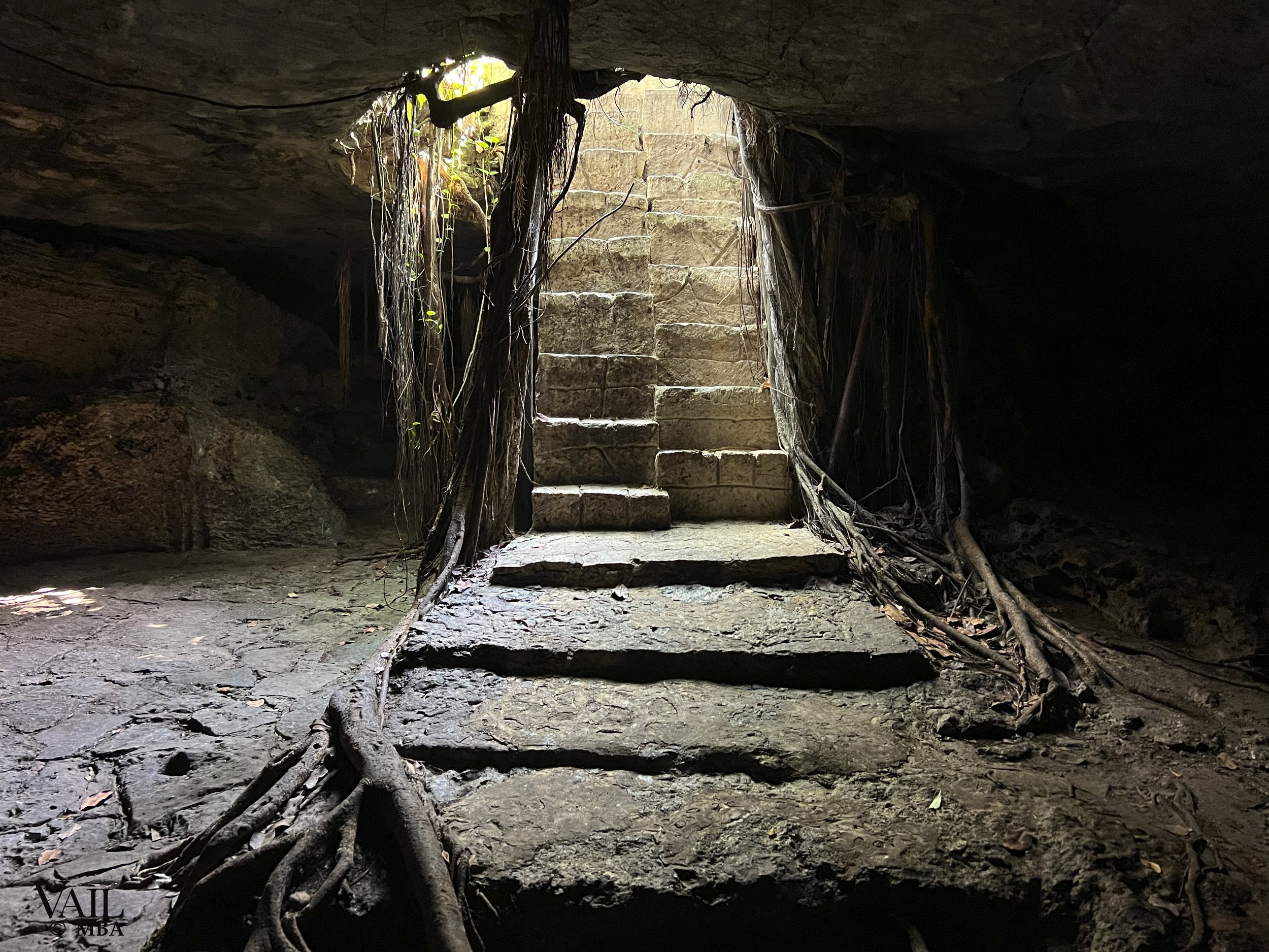 Interior of a cenote in Cancun, with stone steps leading upward, sunlight coming through an opening at the top, and roots hanging down from the opening.