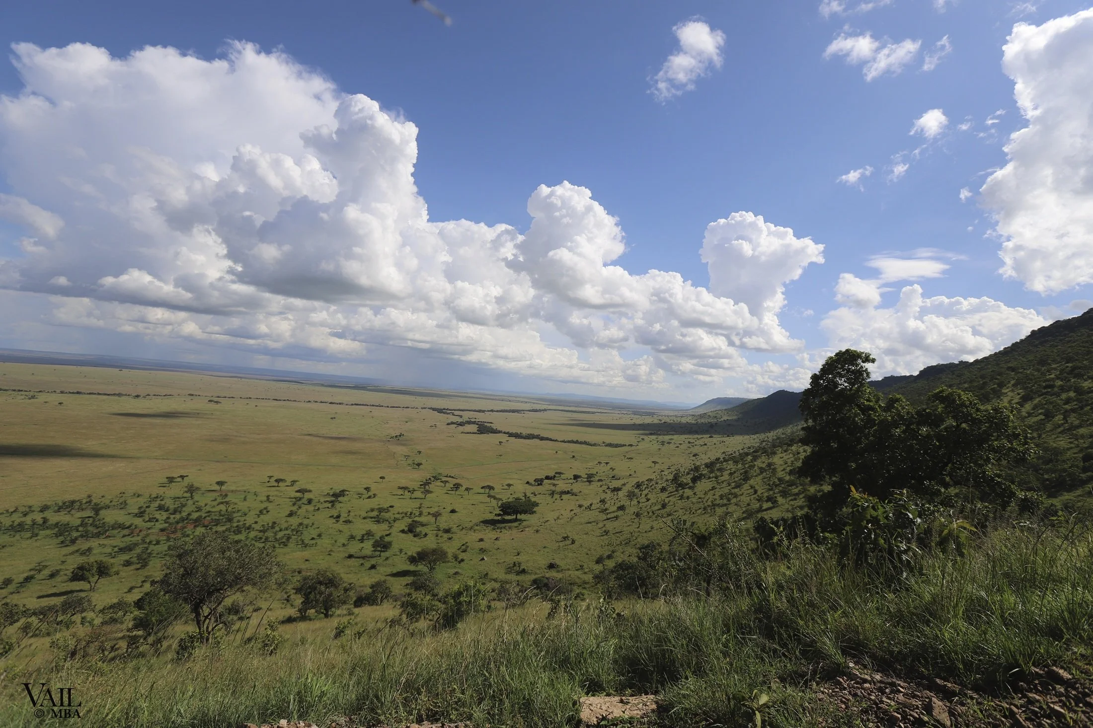 View of a vast landscape of the Massa Mara in Kenya.