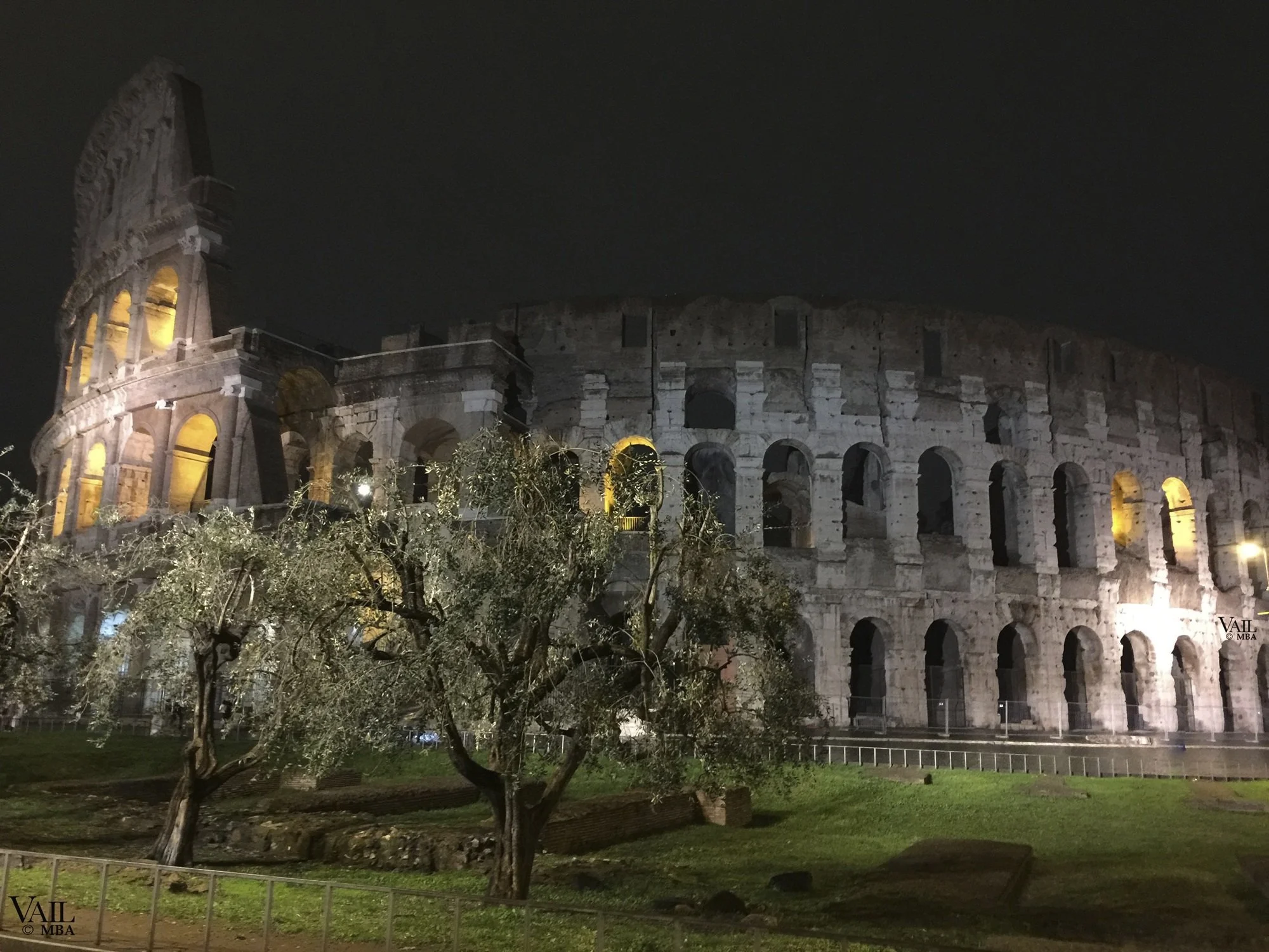 The Colosseum in Rome illuminated at night with some trees and a grassy area in the foreground.