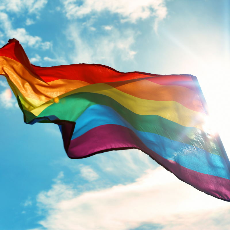 It's Pride Month!