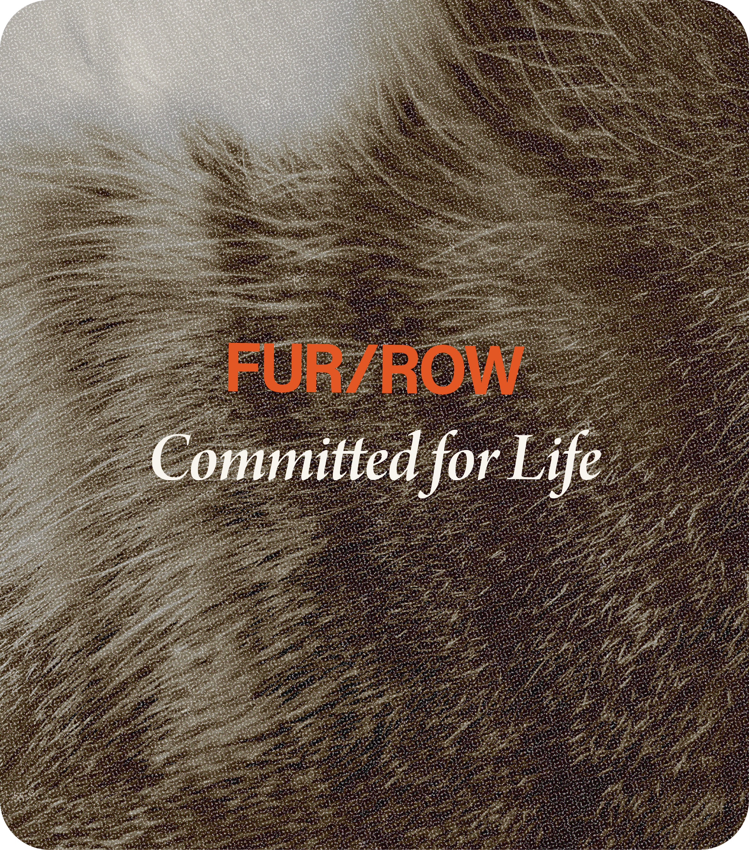 Brand Collection FurRow-06.png