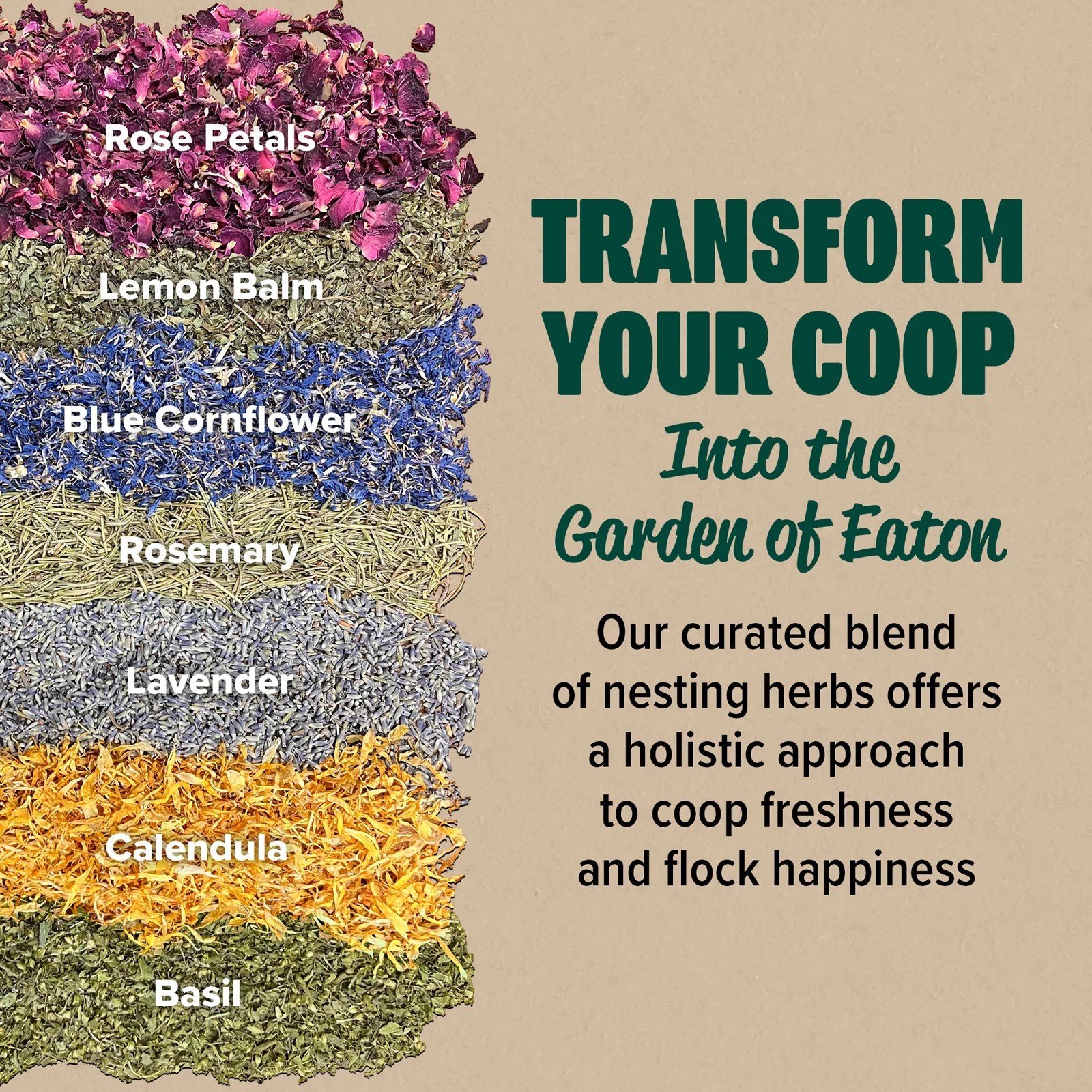 EPP-Nesting-Herbs-Transform-Your-Coop-3-1600x1600.jpeg