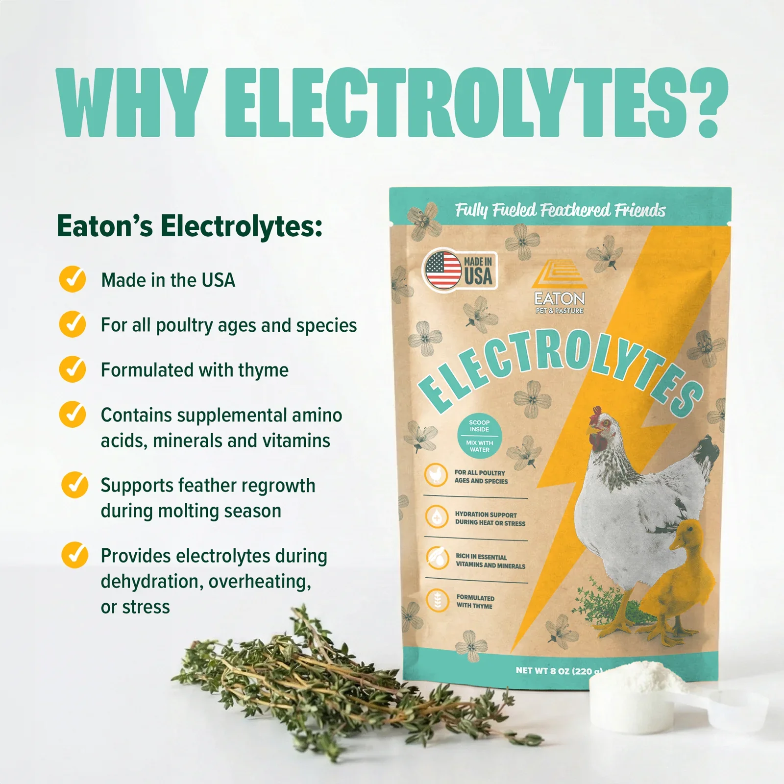 EPP-Why-Electrolyte-1600x1600.webp