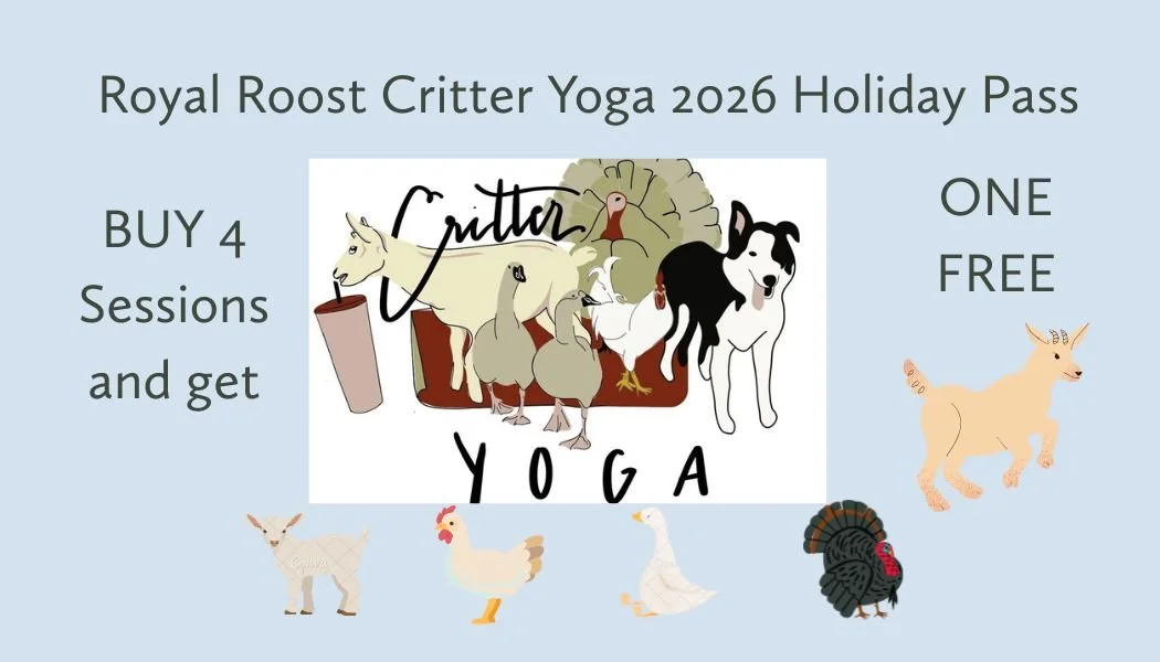 Royal Roost Critter Yoga Holiday Pass.jpg
