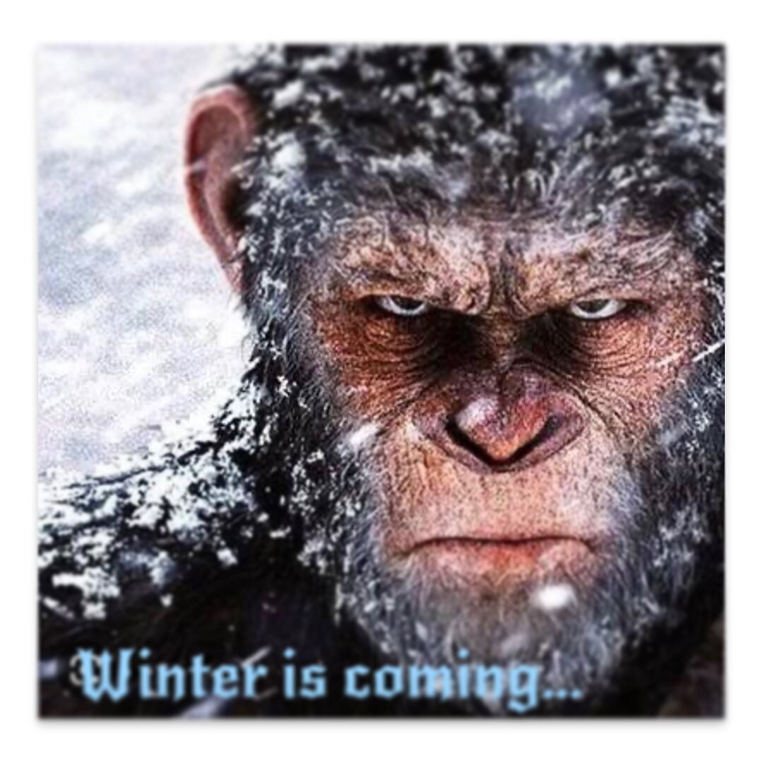 We&rsquo;ll keep you warm&hellip;.. Hoodies, beanies, jackets.
Custom printed or embroidered.
#ishouldputthatonashirt #iykyk #beingcoldsucks #isitsummeryet