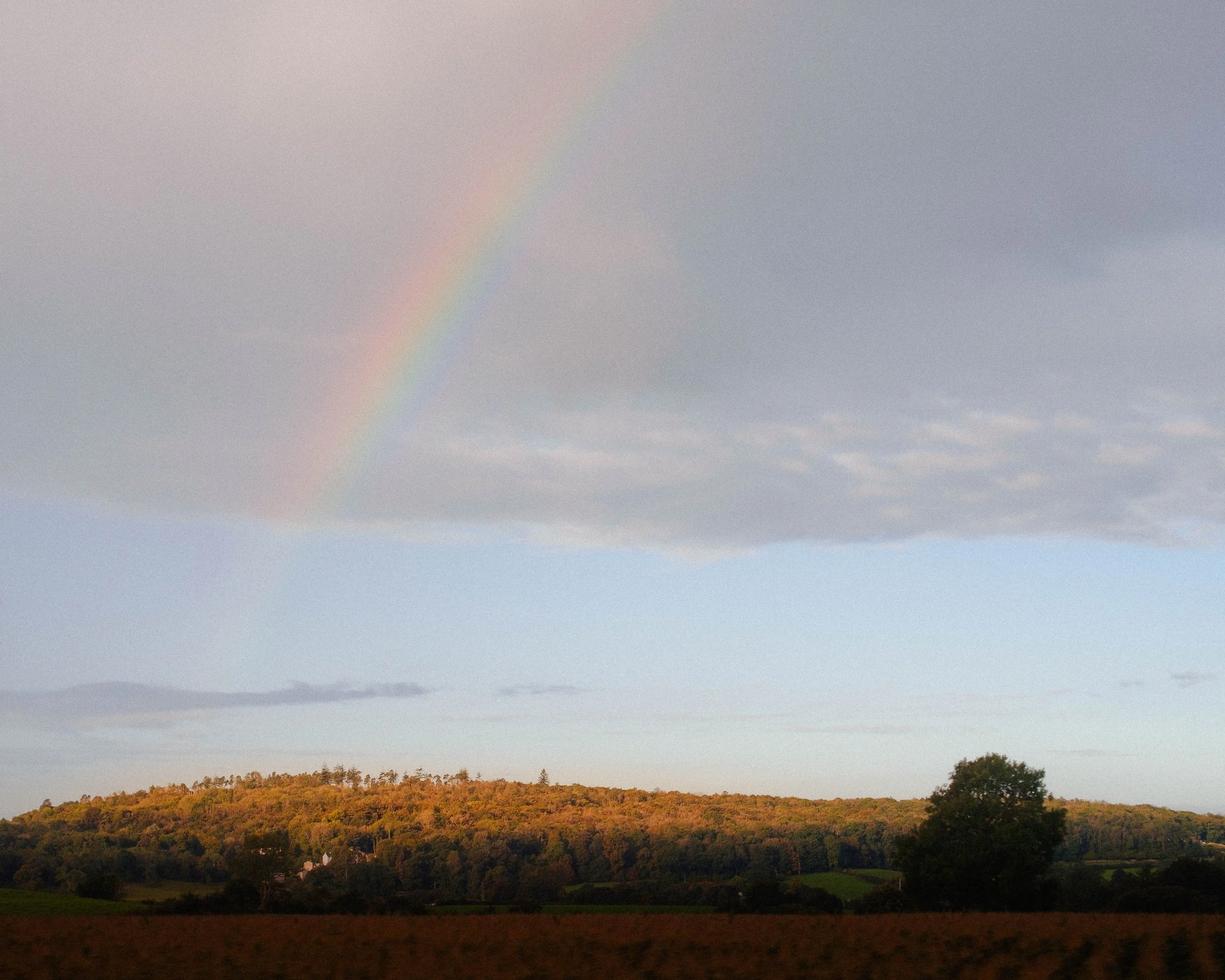 DSCF5696.jpg