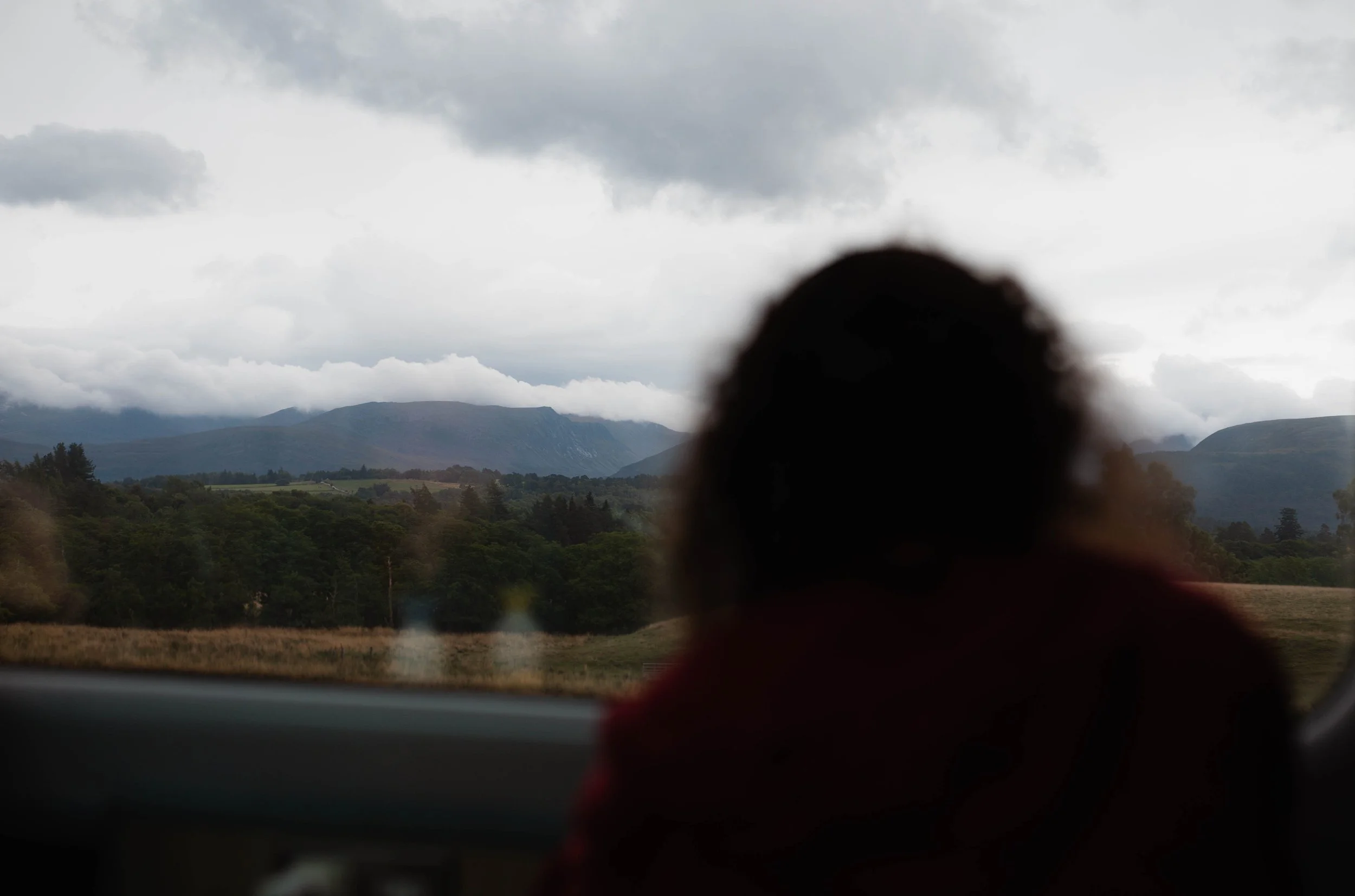 L1003722.jpg