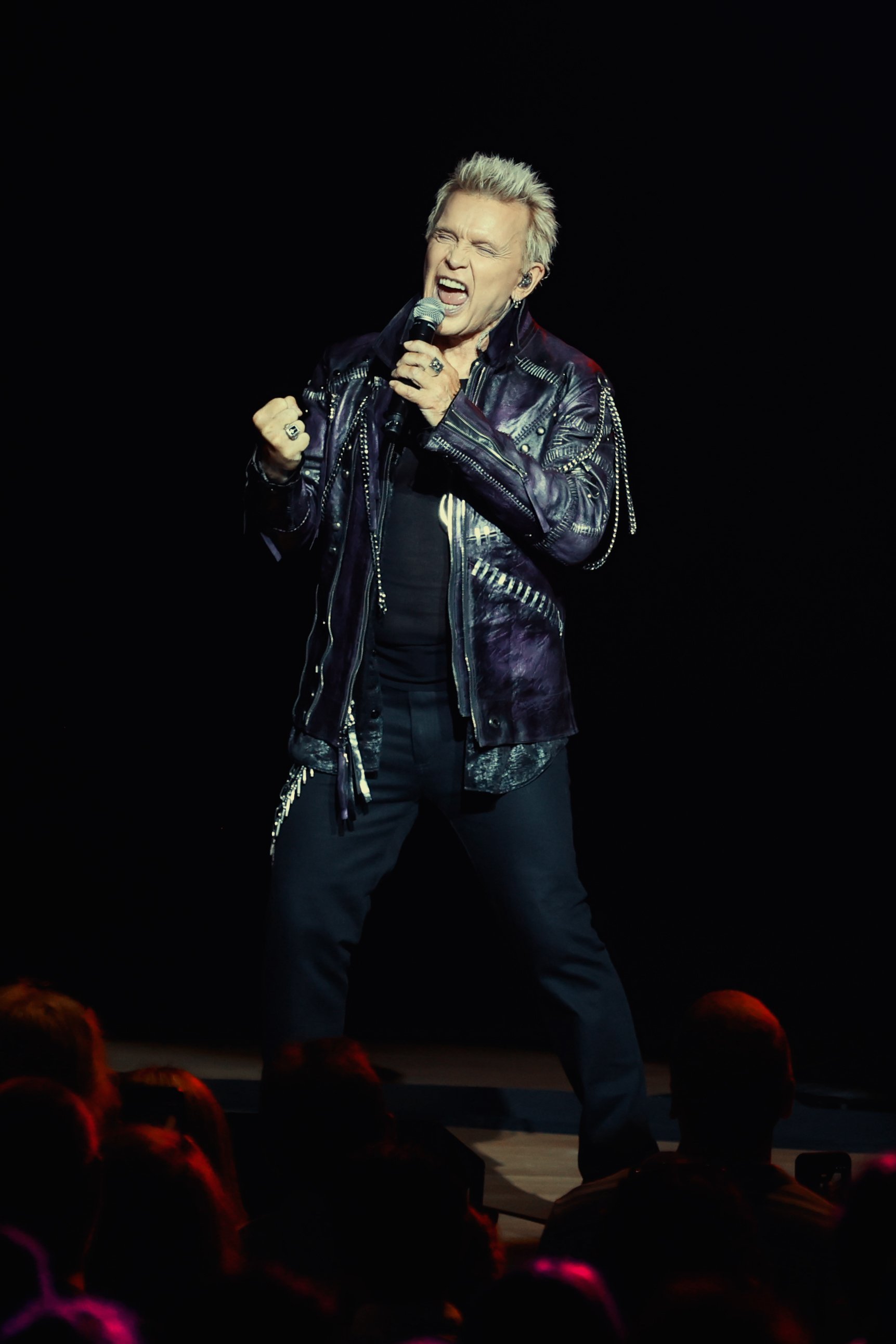 billyidol-ravinia-7-12-26-13.jpg