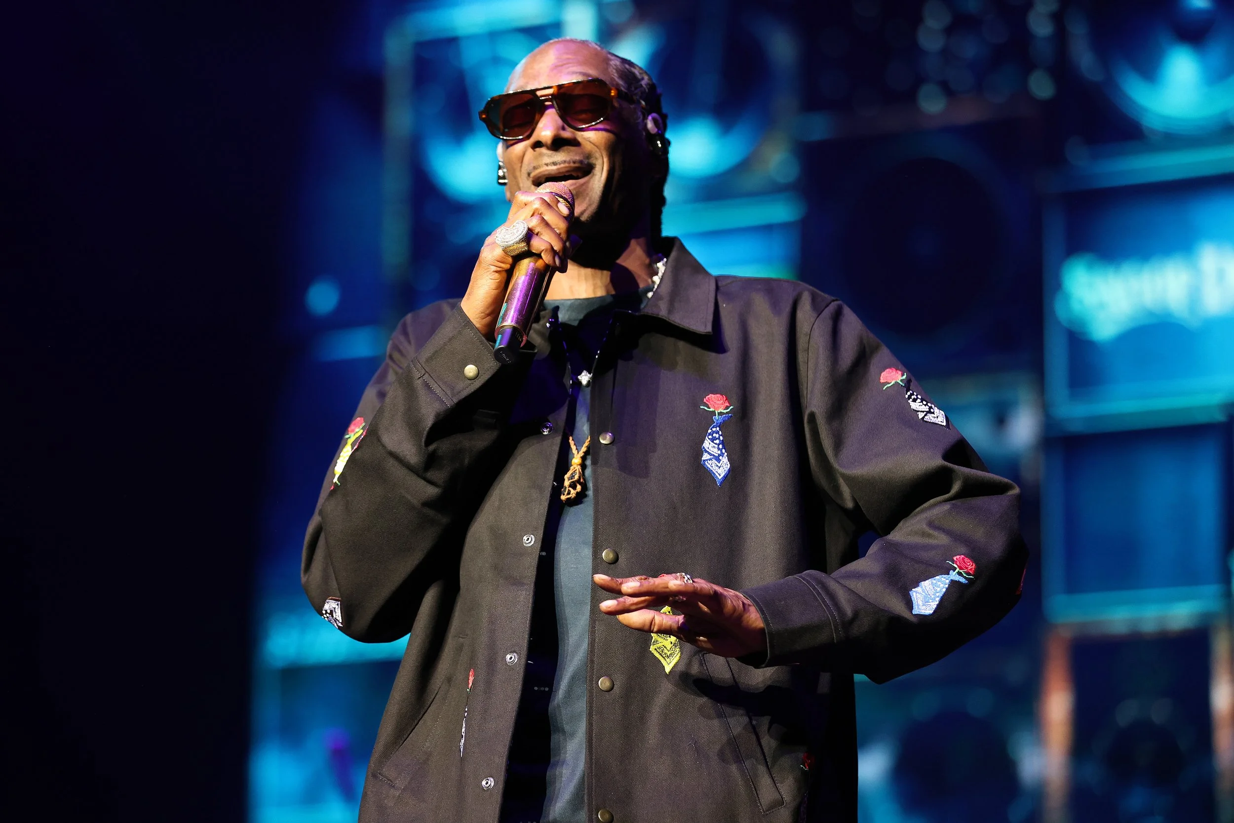 snoopdogg-ravinia-9-4-26-8.jpg