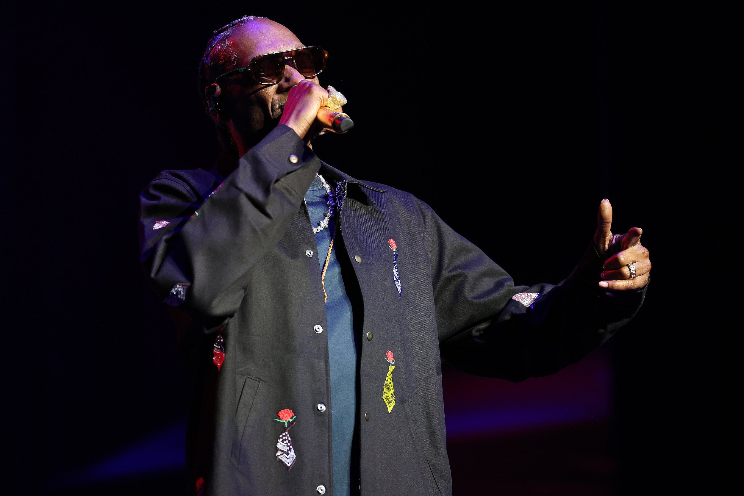 snoopdogg-ravinia-9-4-26-1.jpg