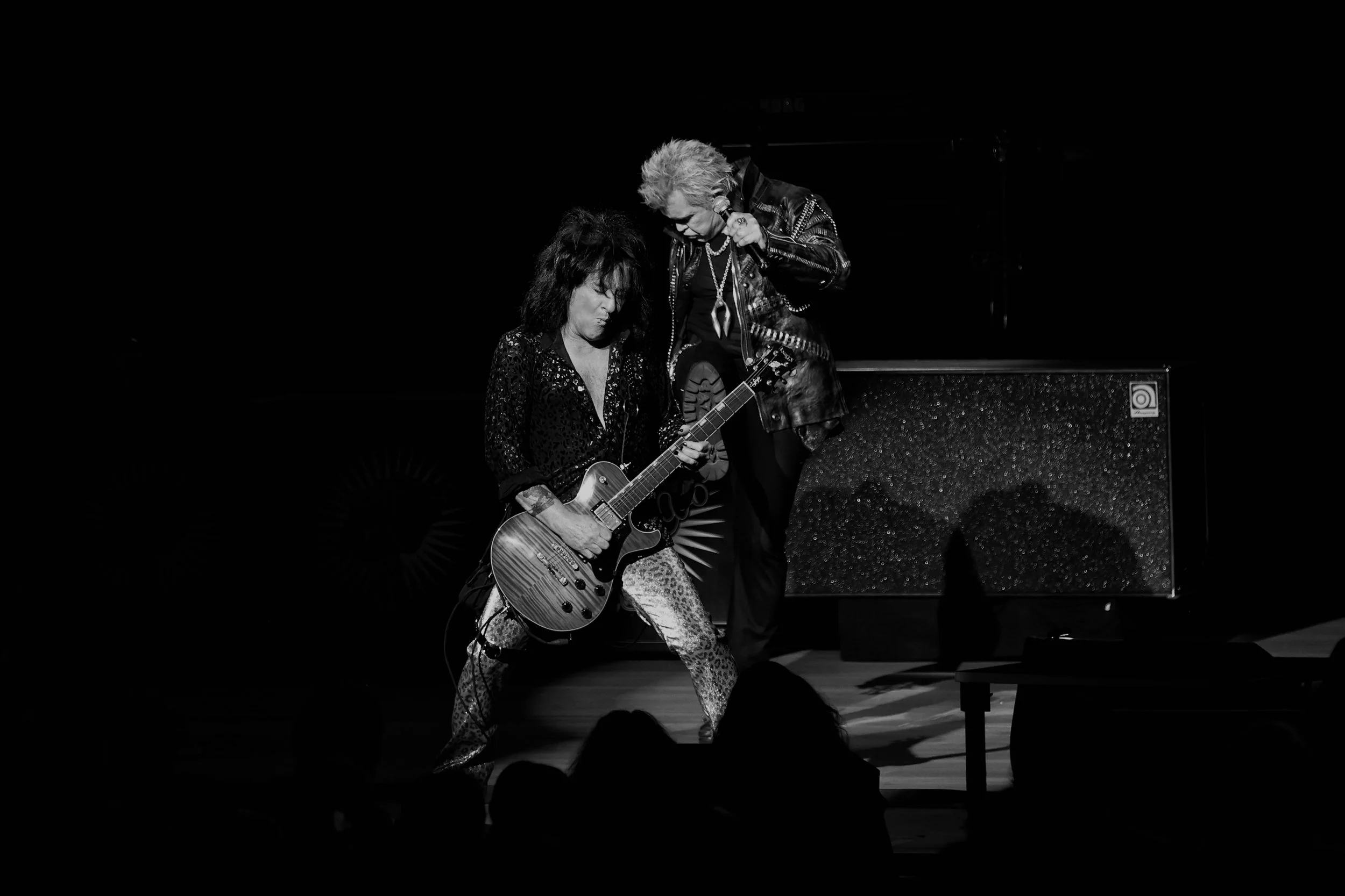 billyidol-ravinia-7-12-26-12.jpg