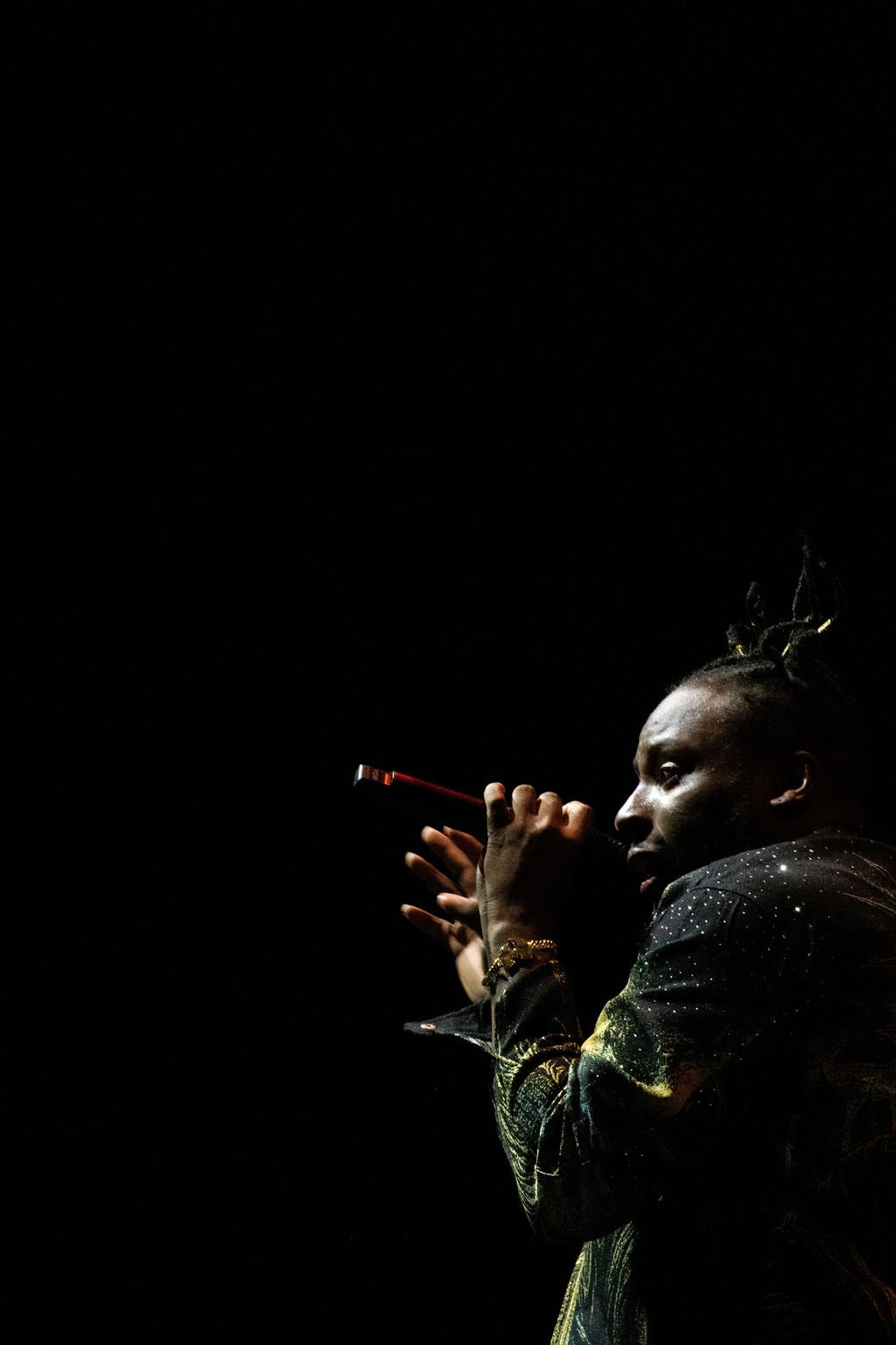 LoriSapio_WuTangClan_LiveNation_Credit1Ampitheater_TinleyParkIllinois_September042026.aDSC_1254.jpg
