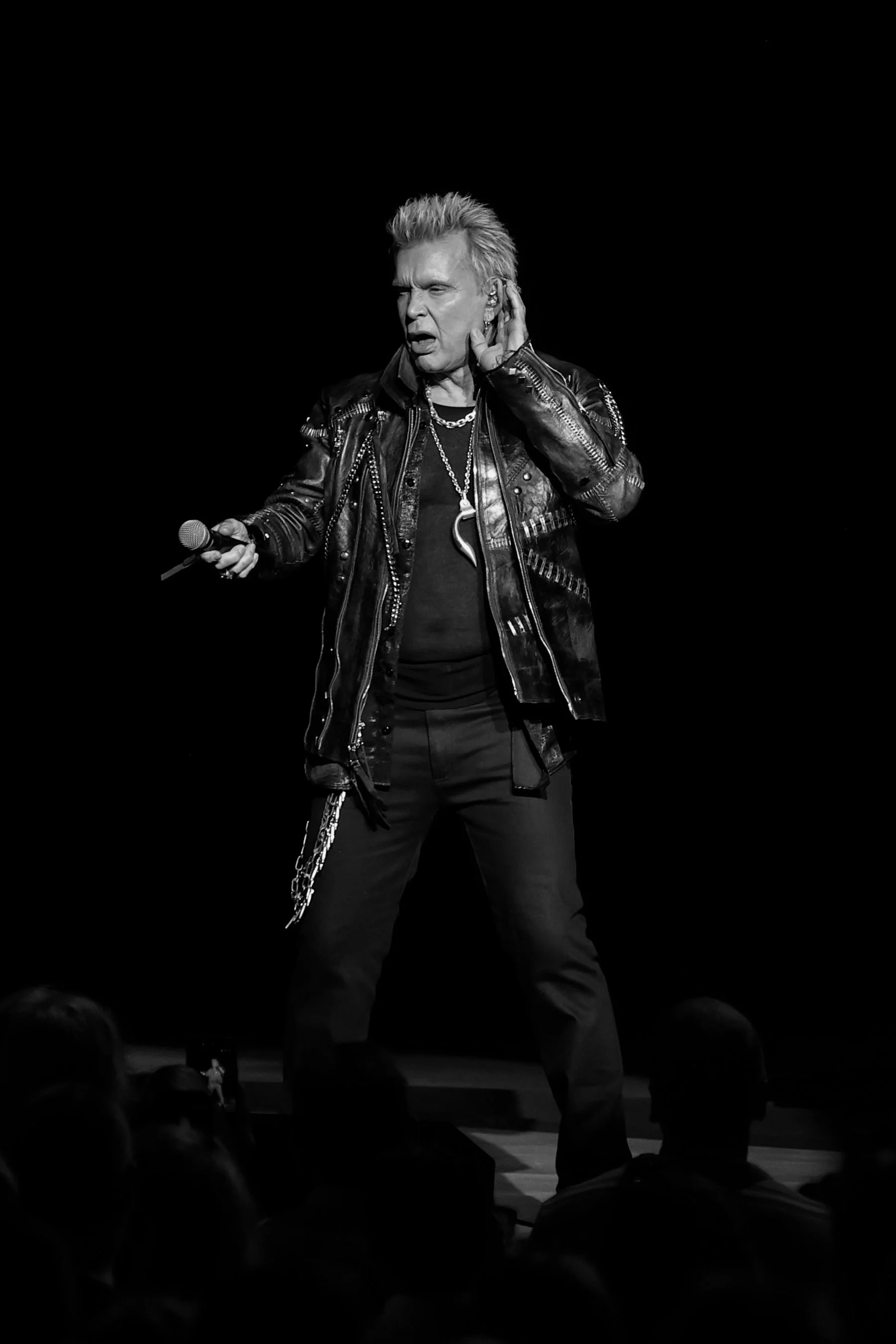 billyidol-ravinia-7-12-26-14.jpg