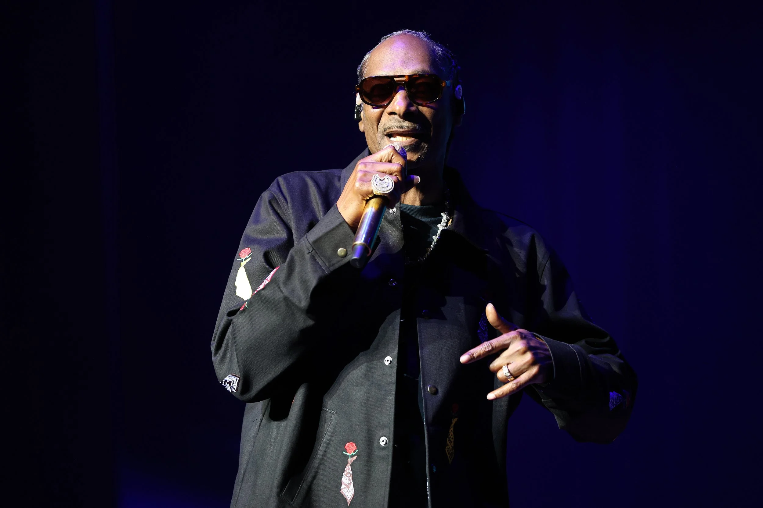 snoopdogg-ravinia-9-4-26-6.jpg