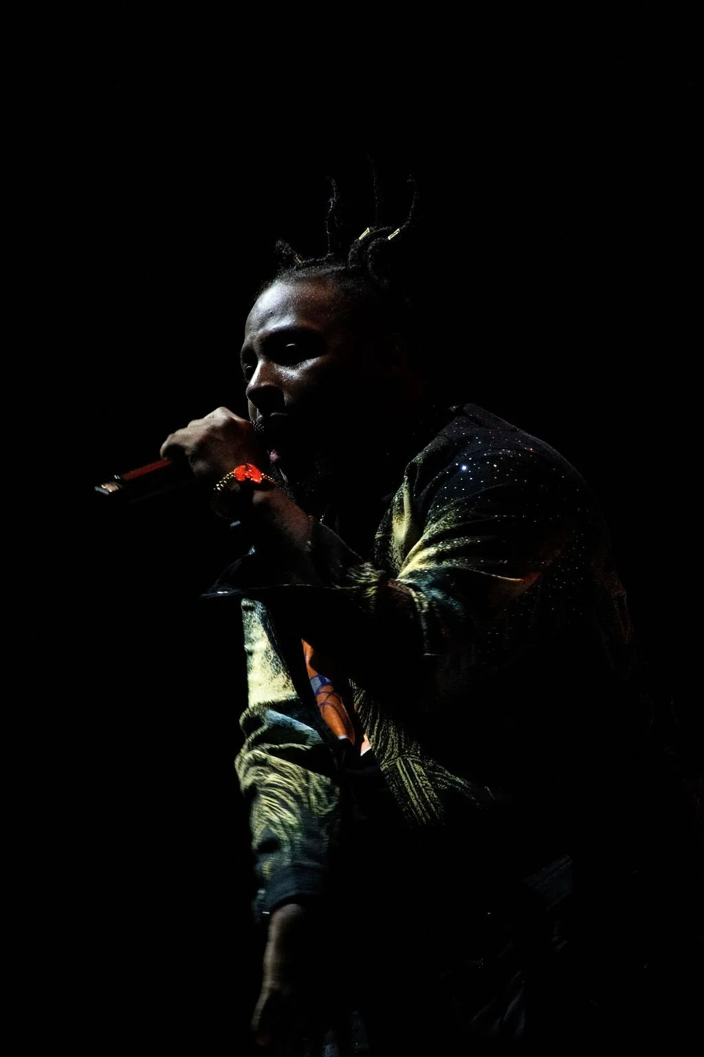 LoriSapio_WuTangClan_LiveNation_Credit1Ampitheater_TinleyParkIllinois_September042026.aDSC_1253.jpg