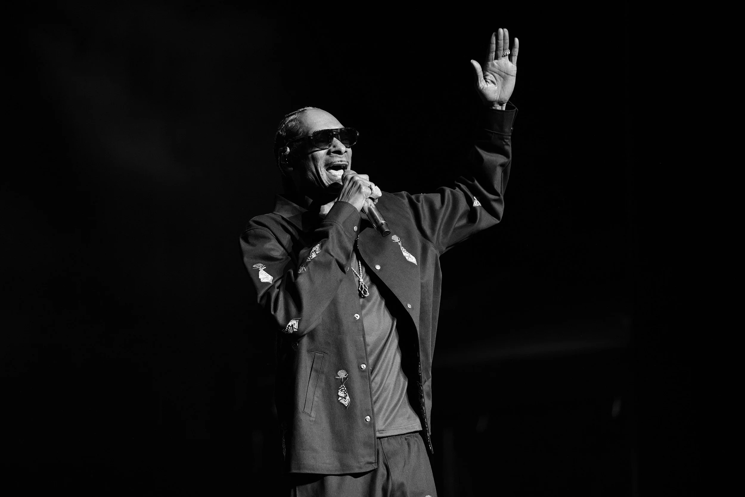 snoopdogg-ravinia-9-4-26-11.jpg
