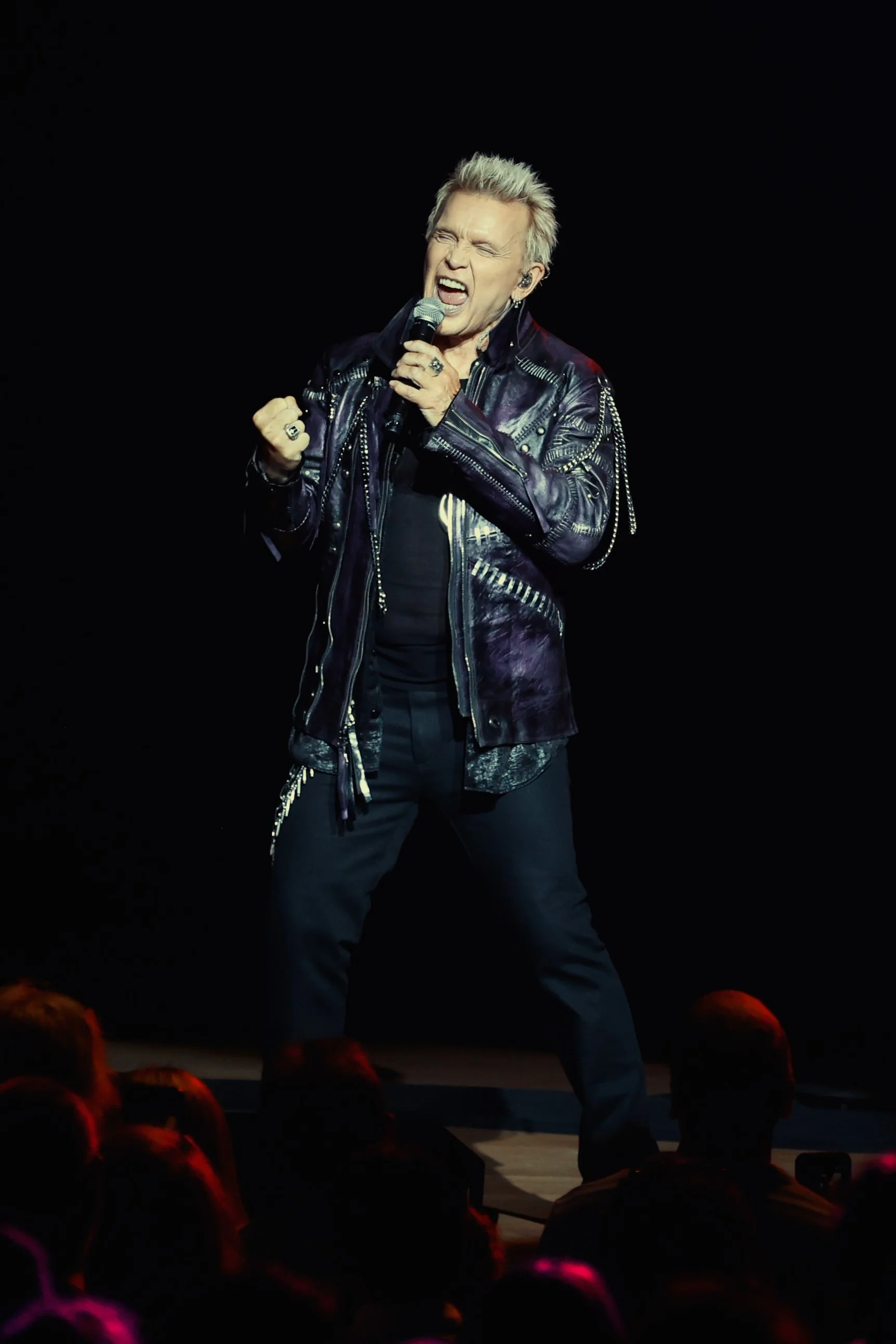billyidol-ravinia-7-12-26-13.jpg