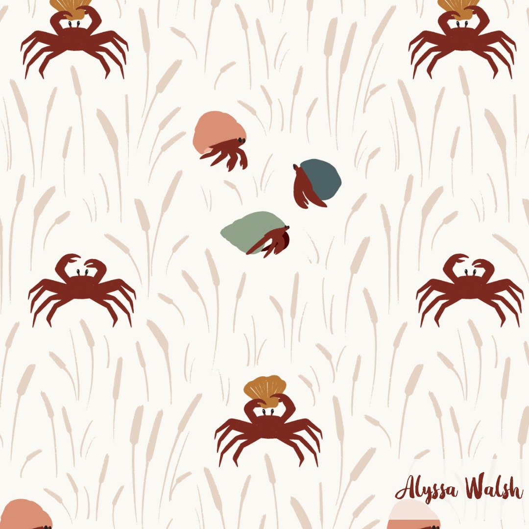 AW23BS231