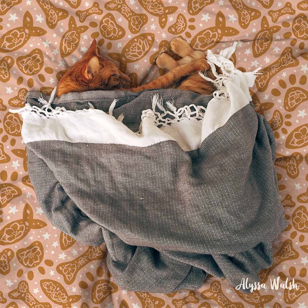 CatBedMockup_Web.jpg