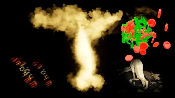 Lithium Dust Contamination