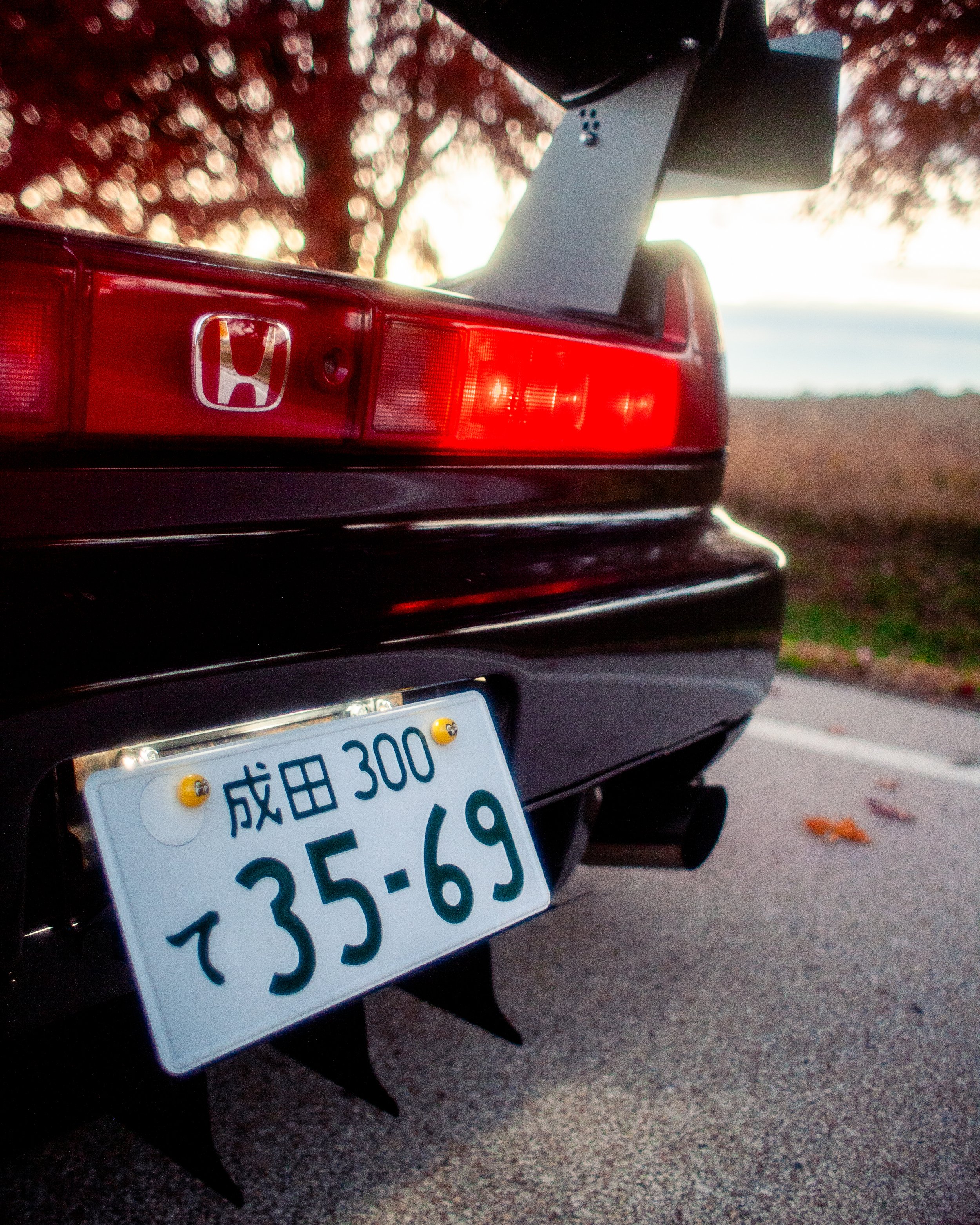 NoahsNSX_2025 (19 of 25).jpg