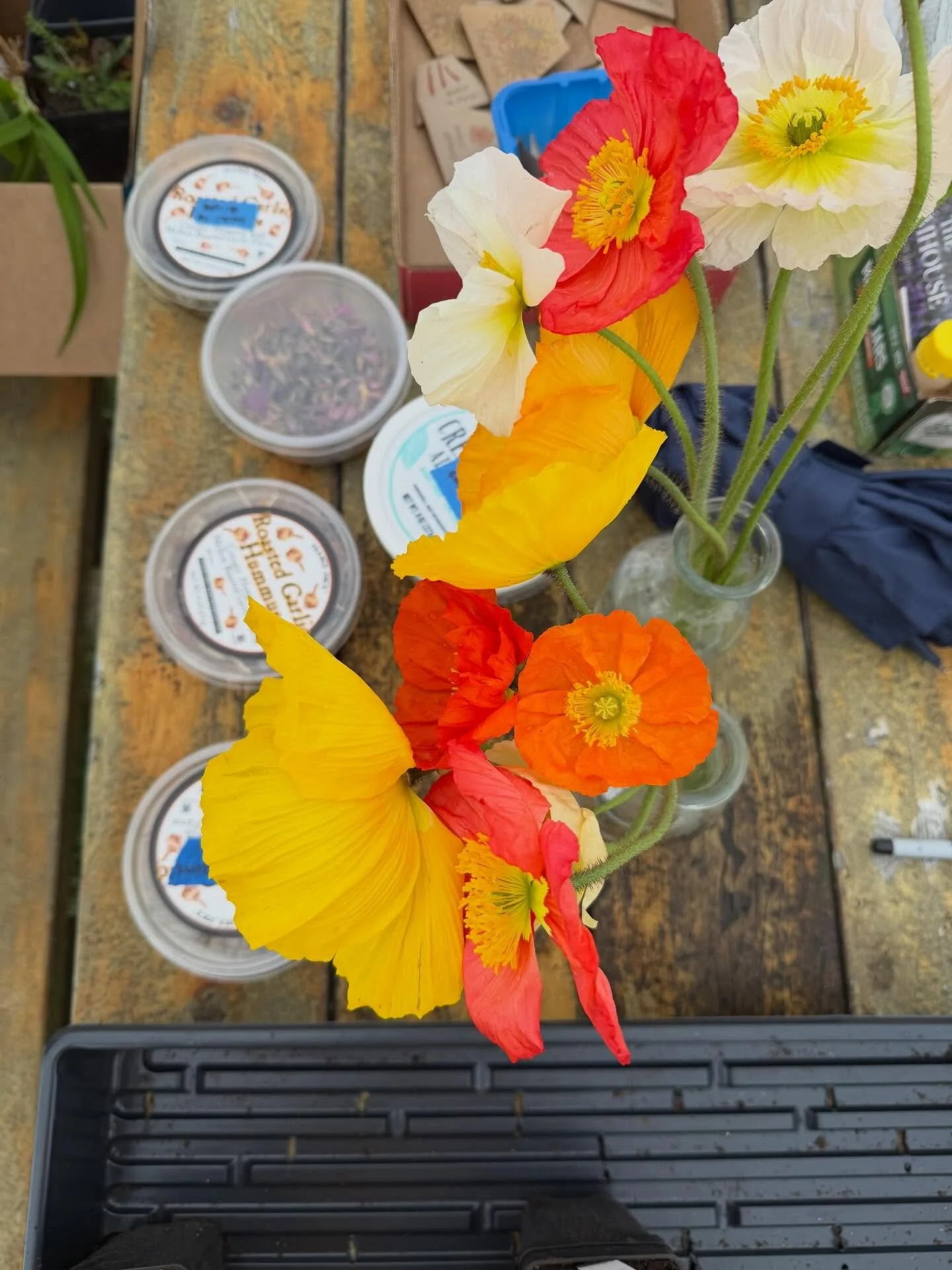 Thanks to @thelilliehouse for hosting such a great seed swap this weekend! 🌼 Lots of planting to do this week (if only the temperature would go back up).