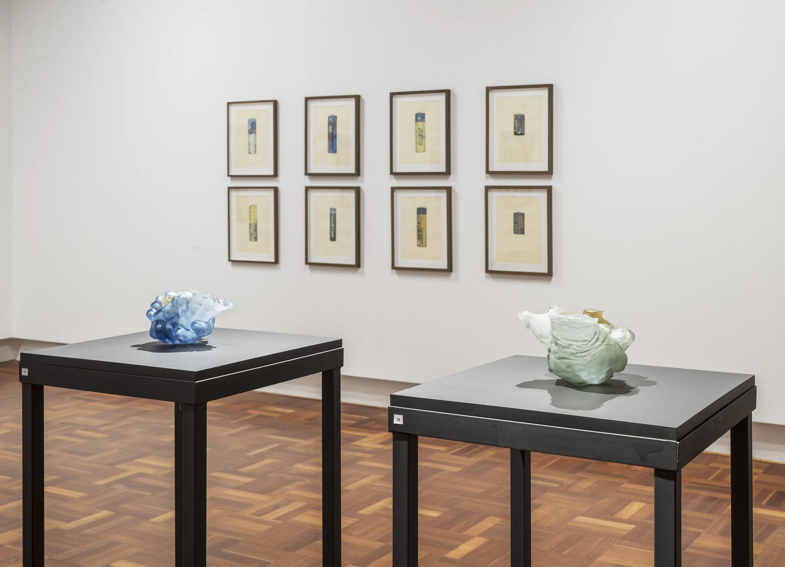 ANU_Gallery_Backbone_2025_07_17_035.jpg
