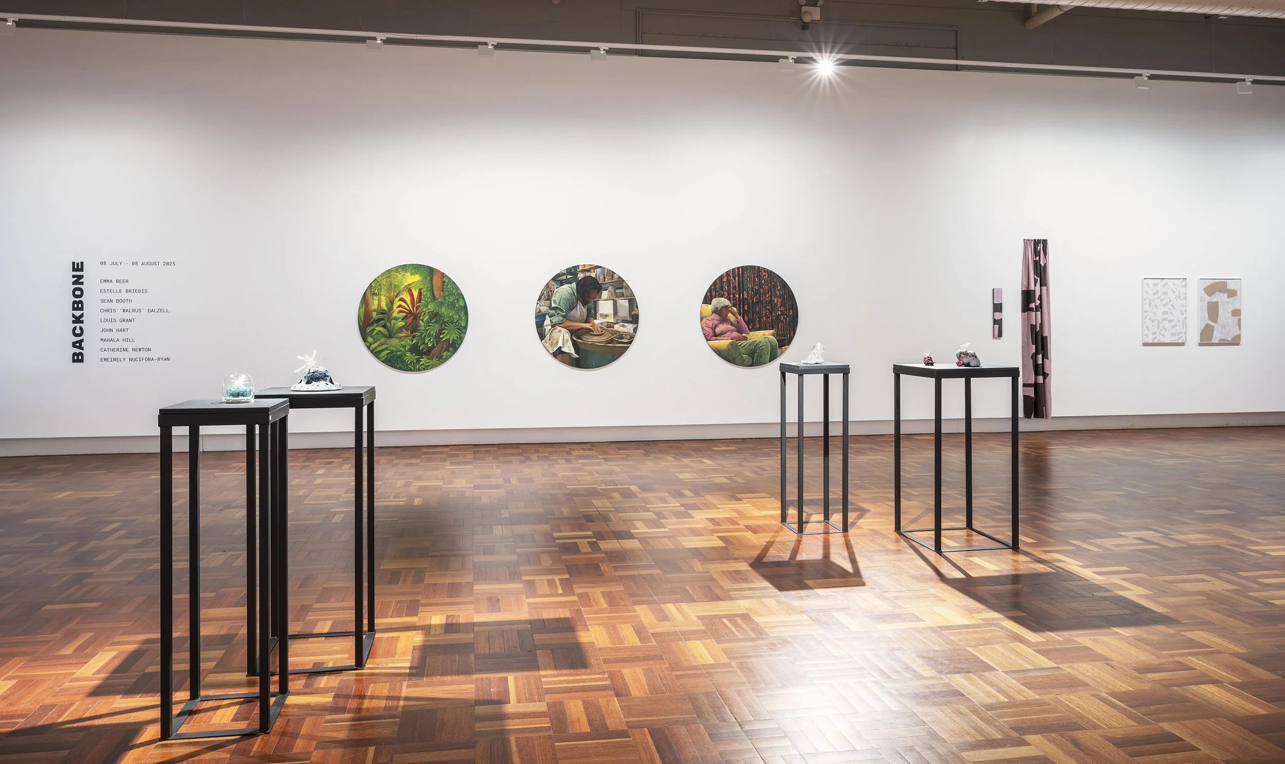 ANU_Gallery_Backbone_2025_07_17_002.jpg