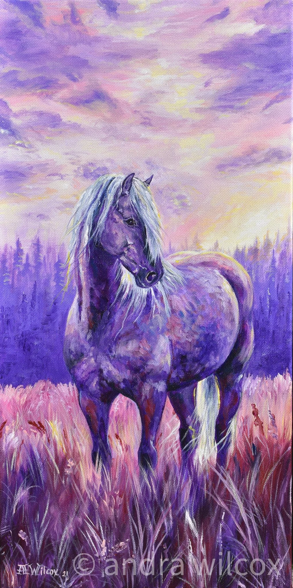 An-Draw Studio Art-46.jpg