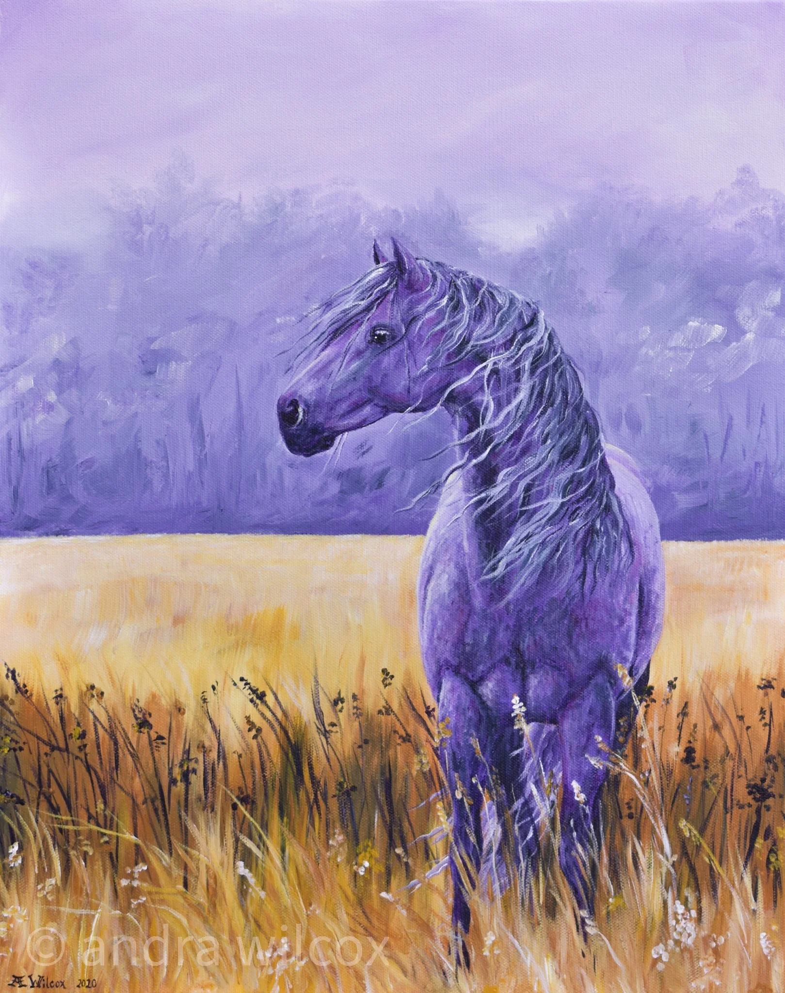 An-Draw Studio Art-36.jpg