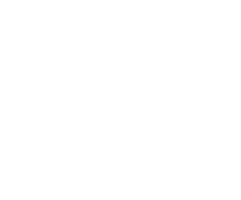 Austin Snack Co.
