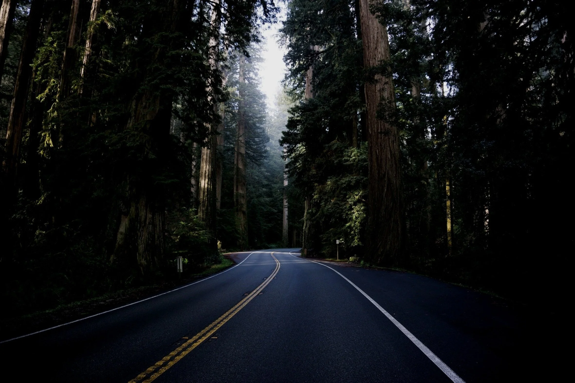 logistics-freight-cargo-commodity-truck-semi-broker-flatbed-reefer-dry-van-dat-fmcsa