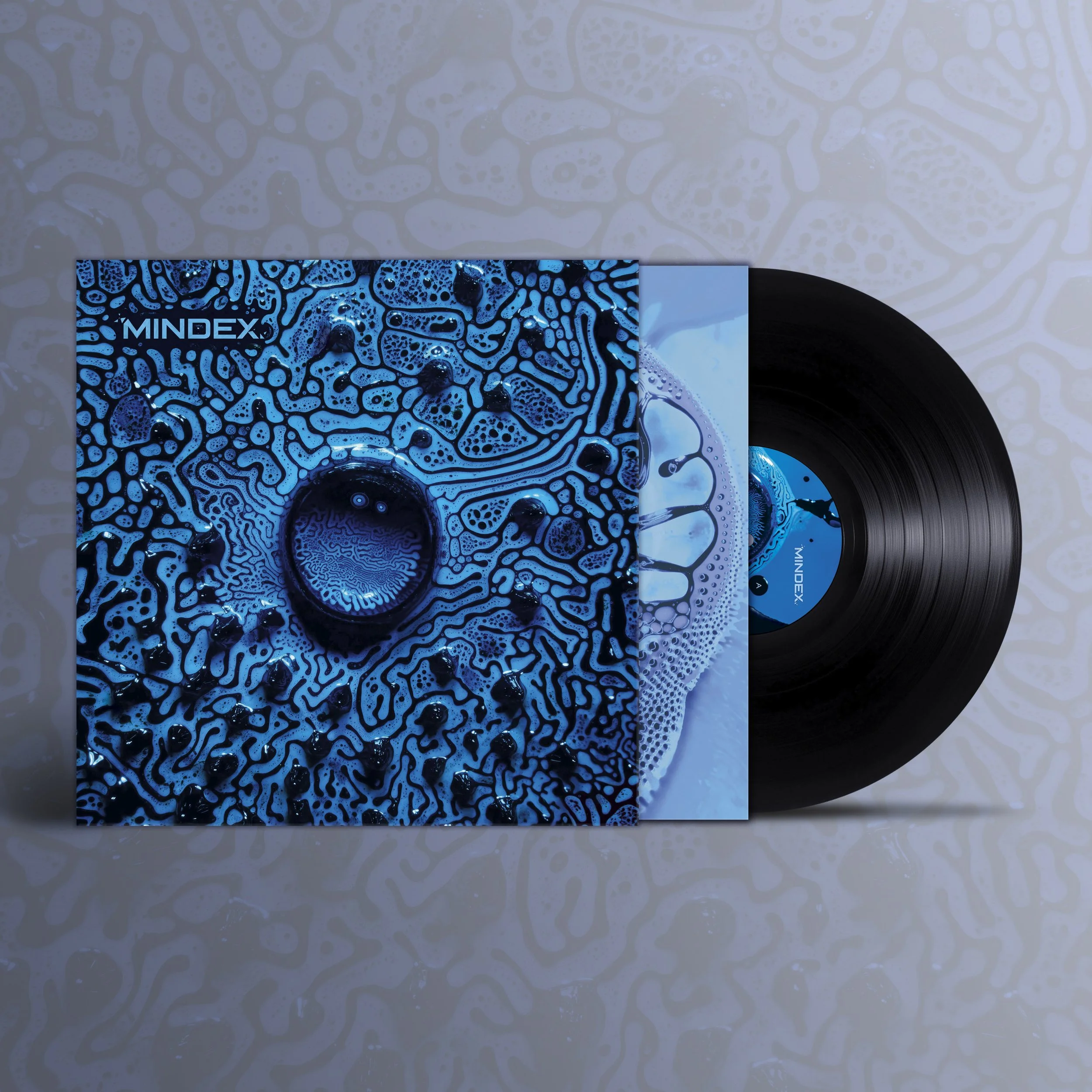 FLUIDITY - 12"
