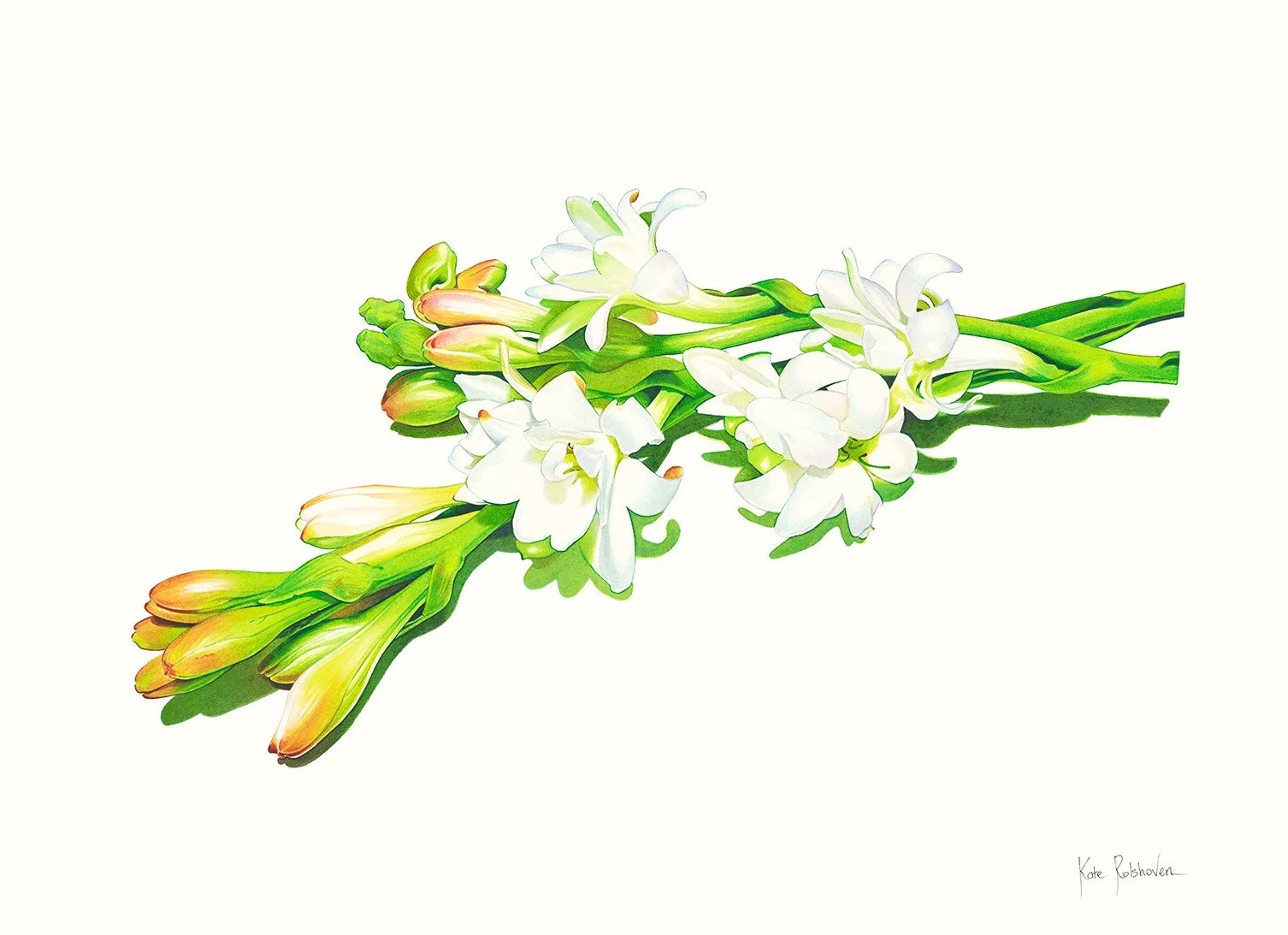 Tuberose Website cropped.jpg