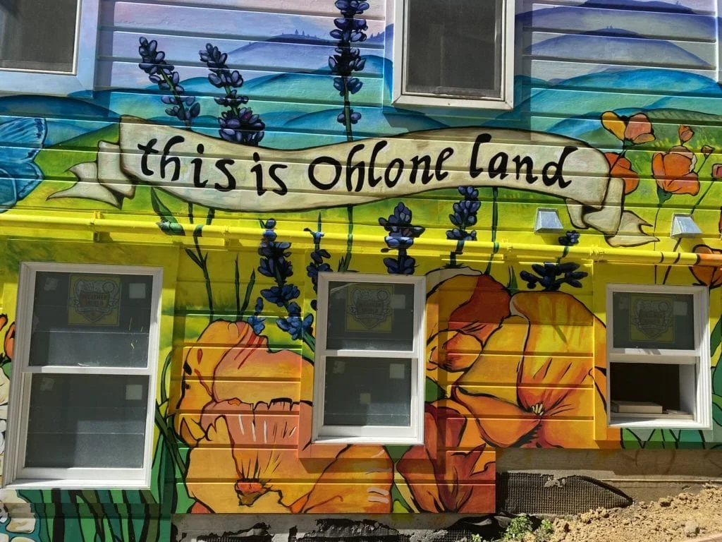 Indigenous Teachings on Healing and Relationship to Land