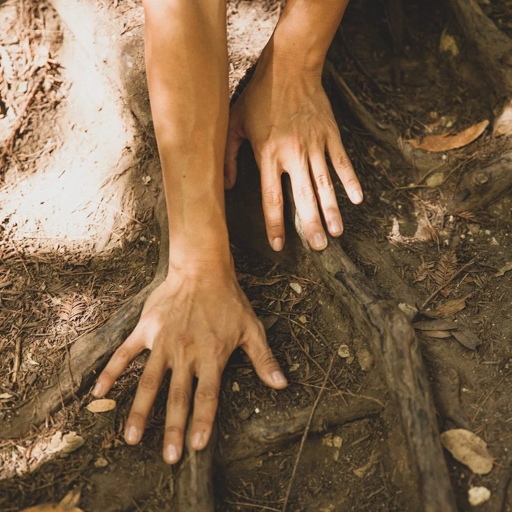 The Body Remembers: Honoring the Old Ways of Healing