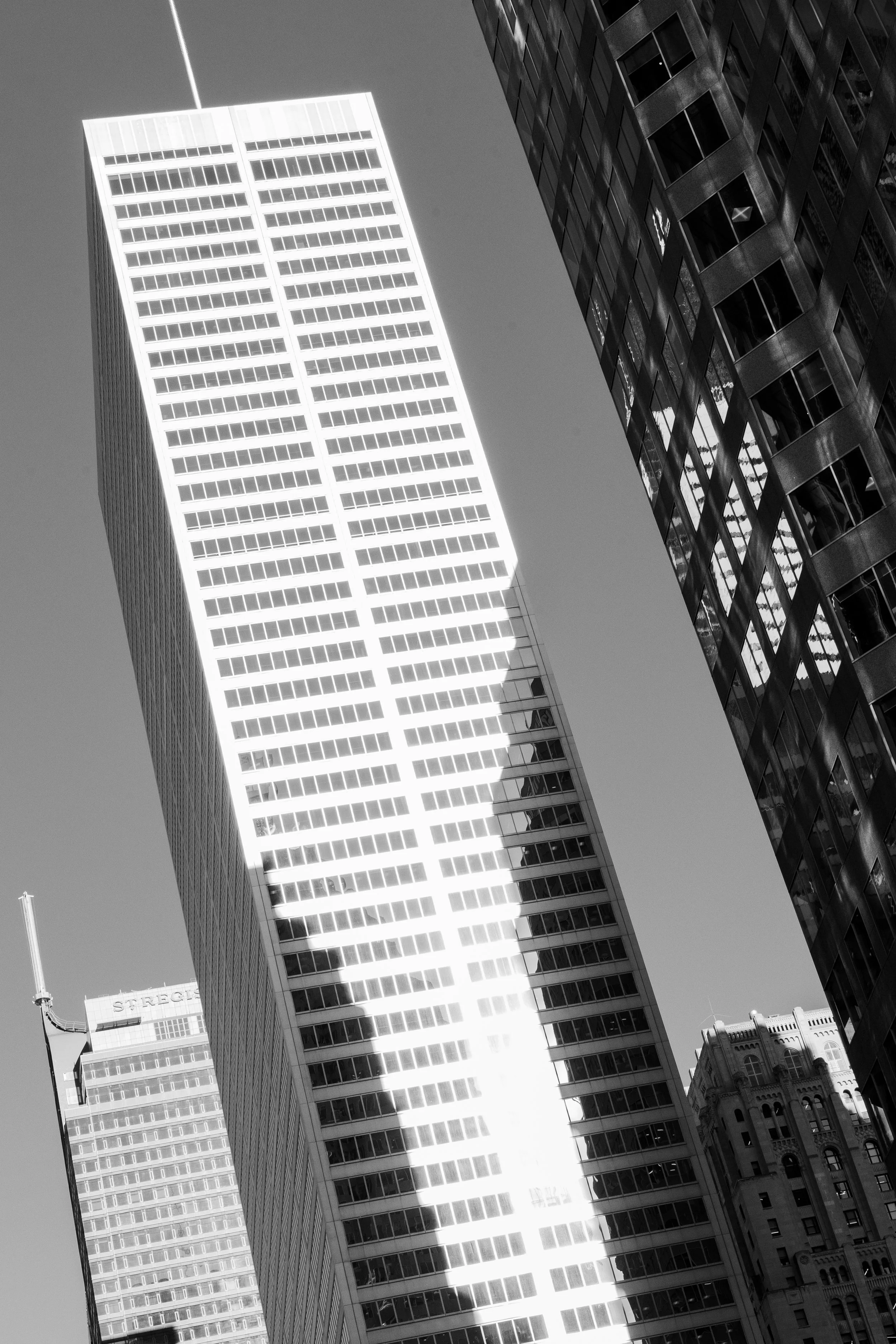 IMG_6434Paulina Rubio @paurubiofotografia.jpg