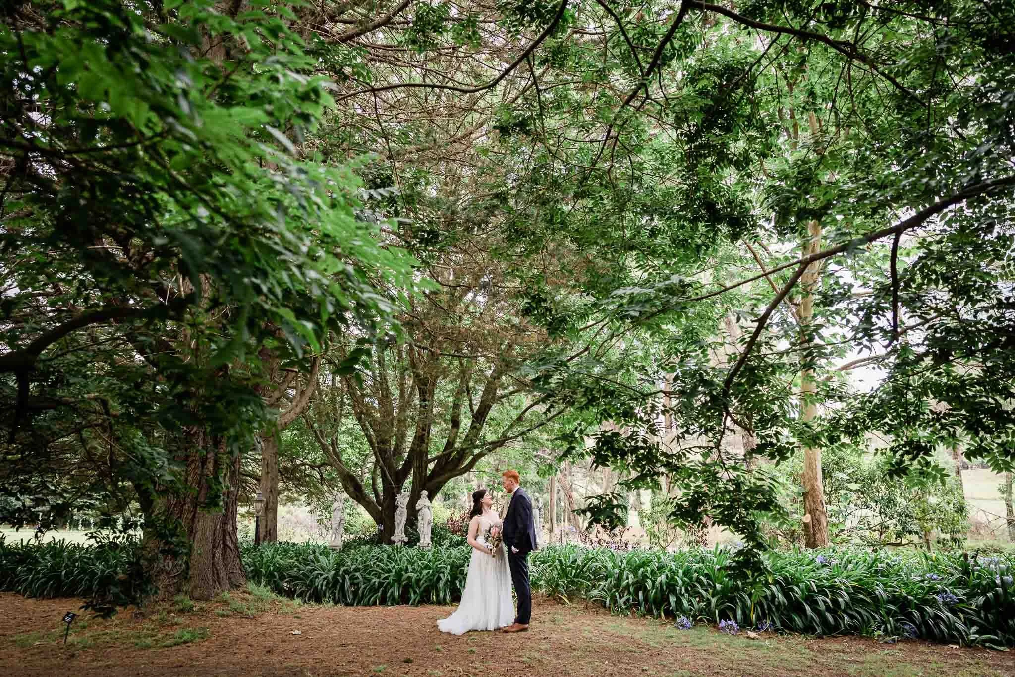 Bride and groom portraits in the gardens at Montrose House, Southern Highlands NSW — David Maltby Images
